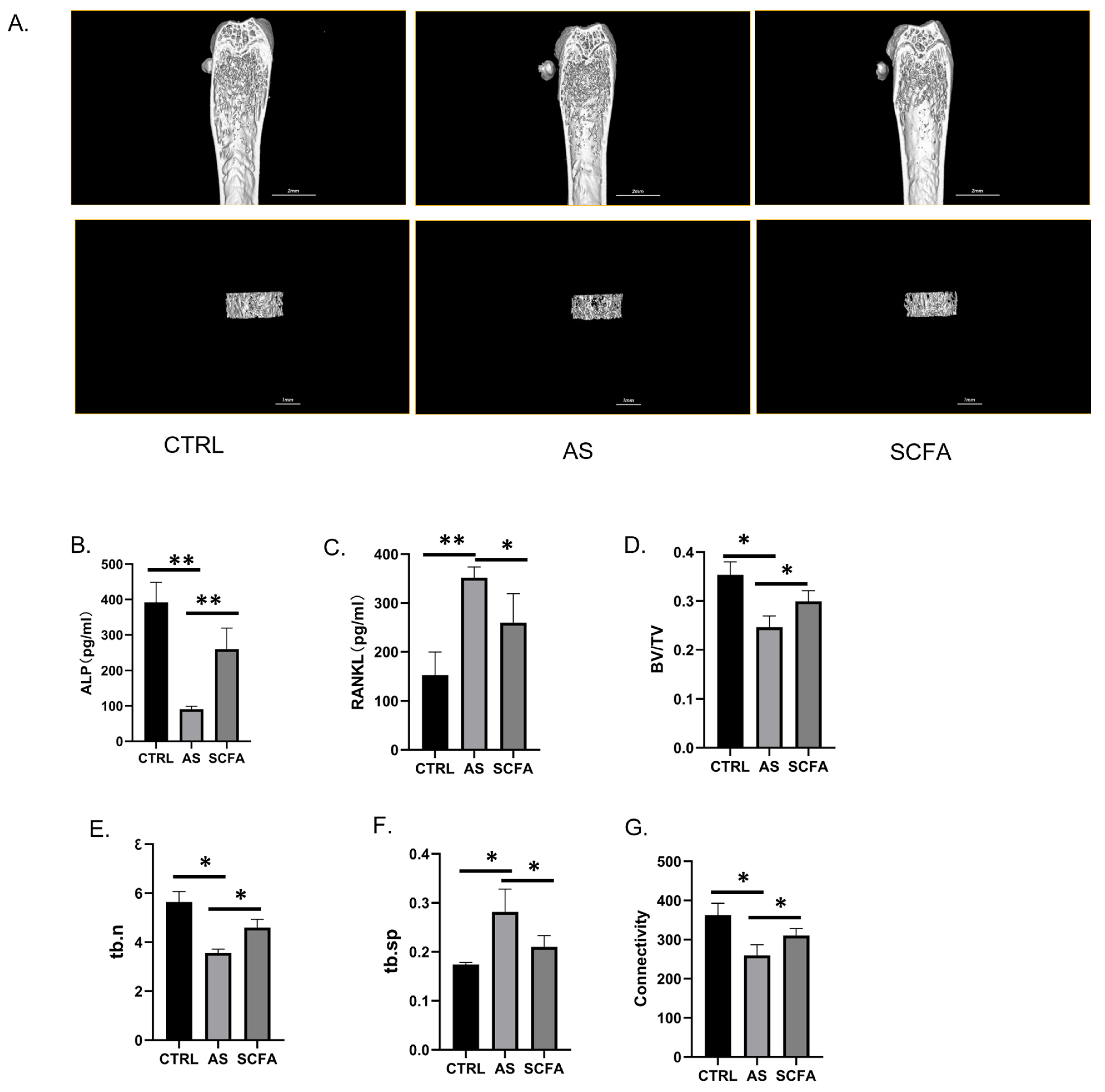 Biomedicines 13 00009 g004