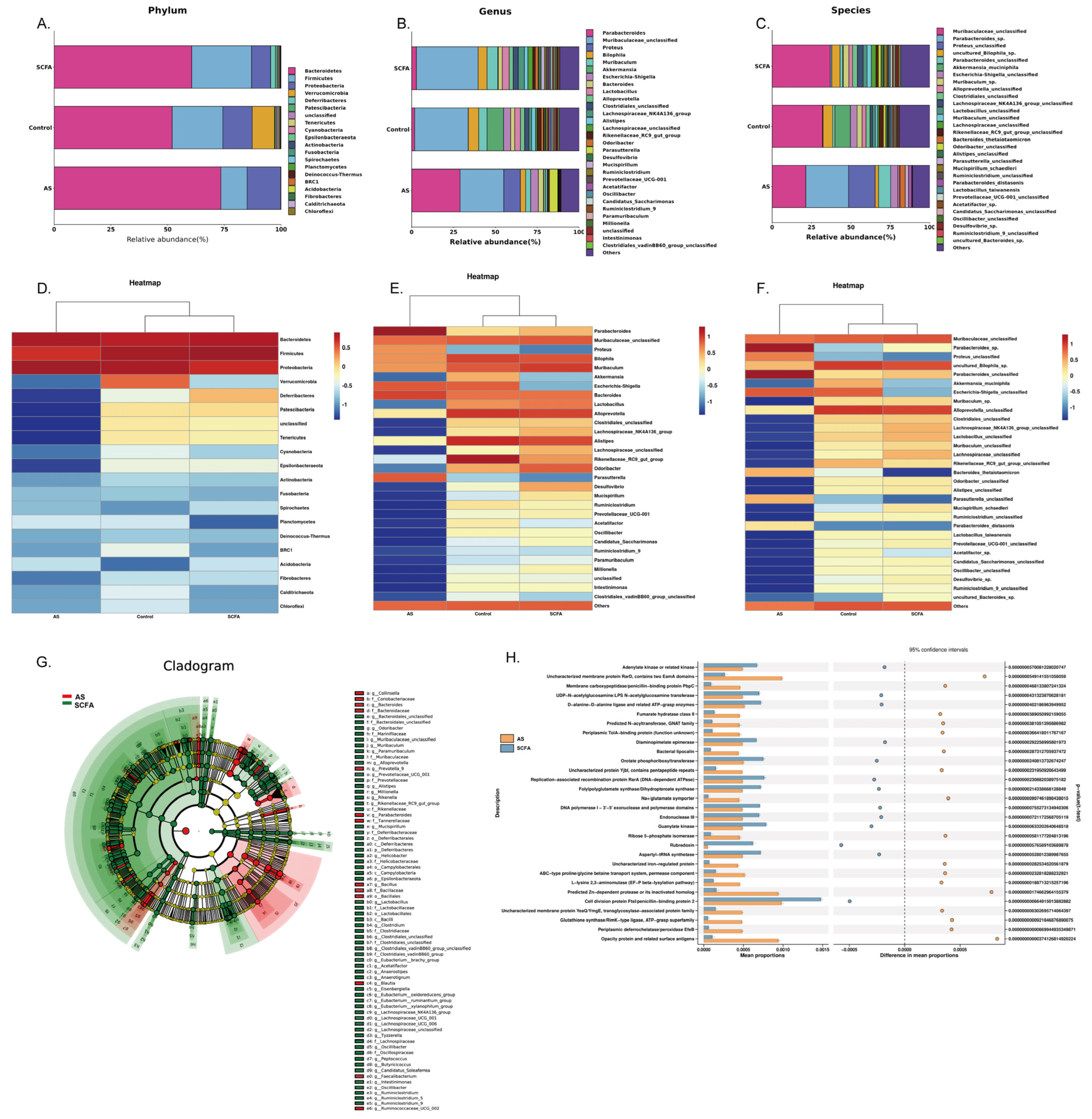 Biomedicines 13 00009 g006