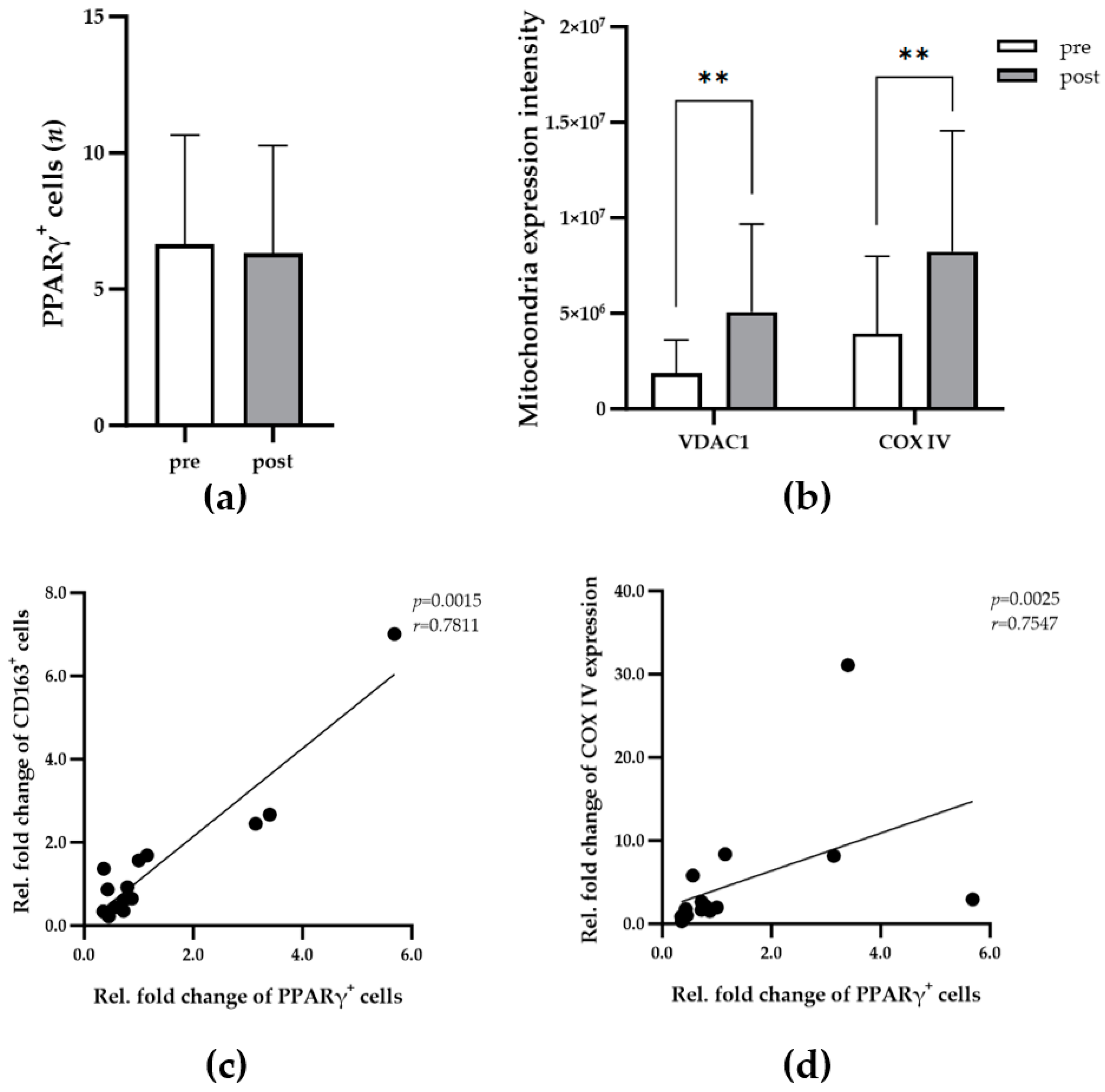 Biomedicines 13 00010 g005