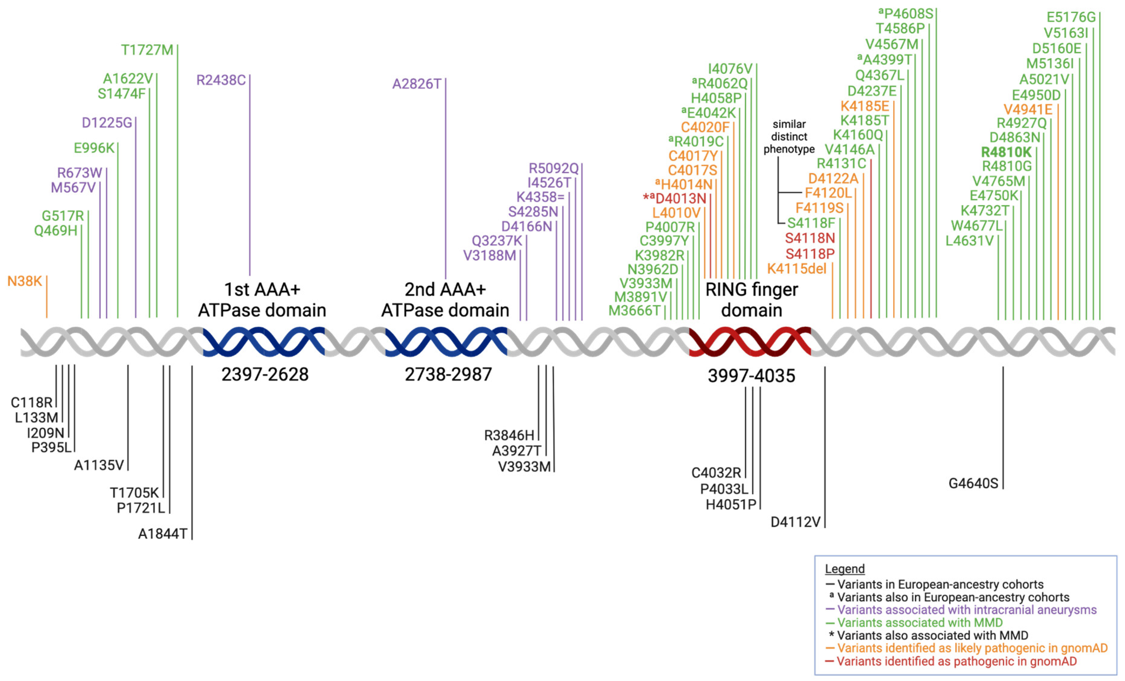 Biomedicines 13 00017 g001