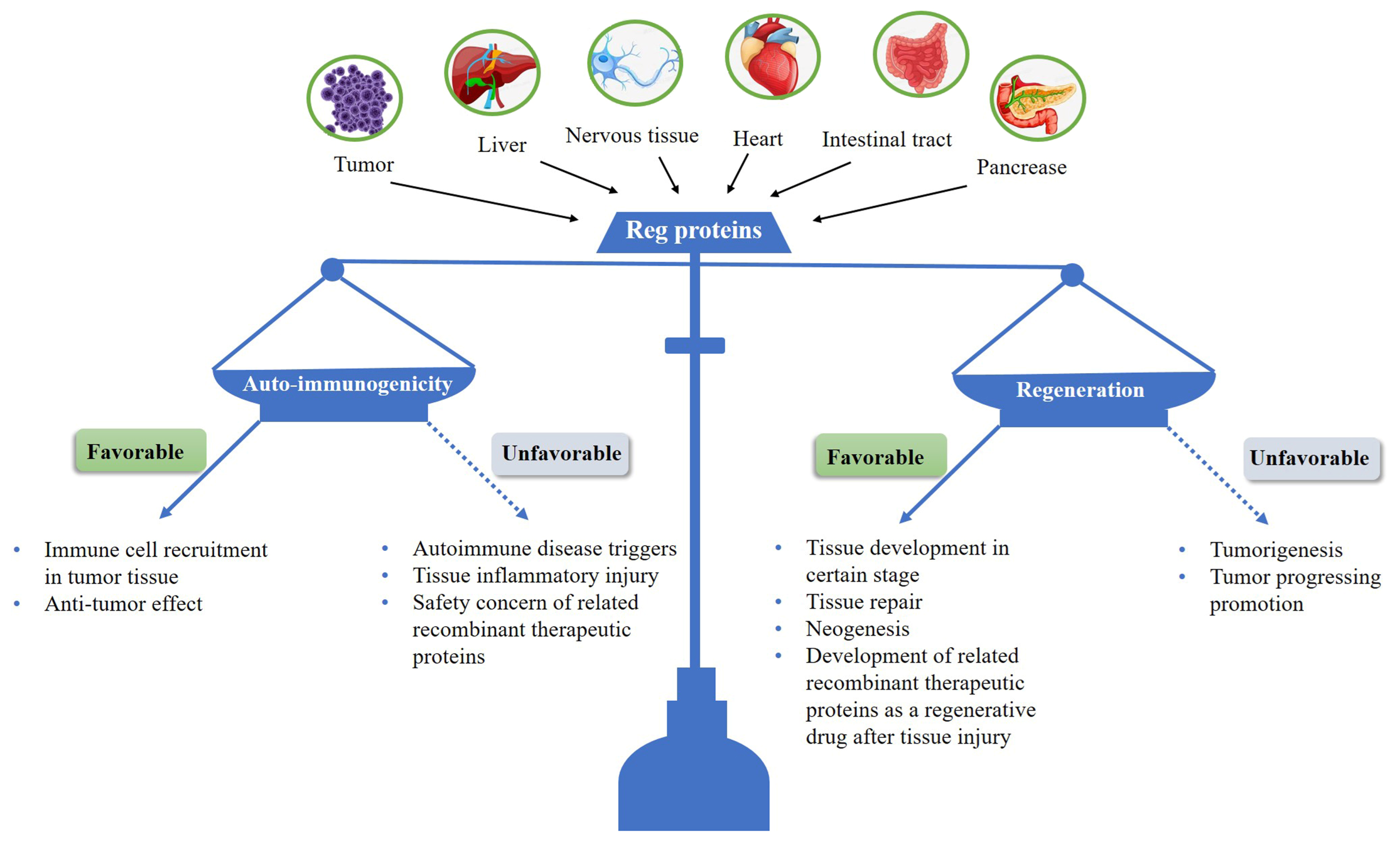 Biomedicines 13 00024 g001