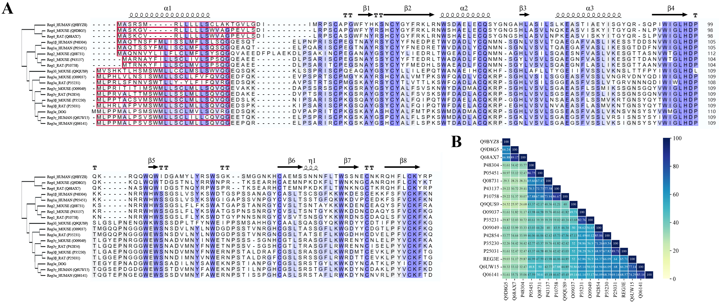 Biomedicines 13 00024 g002