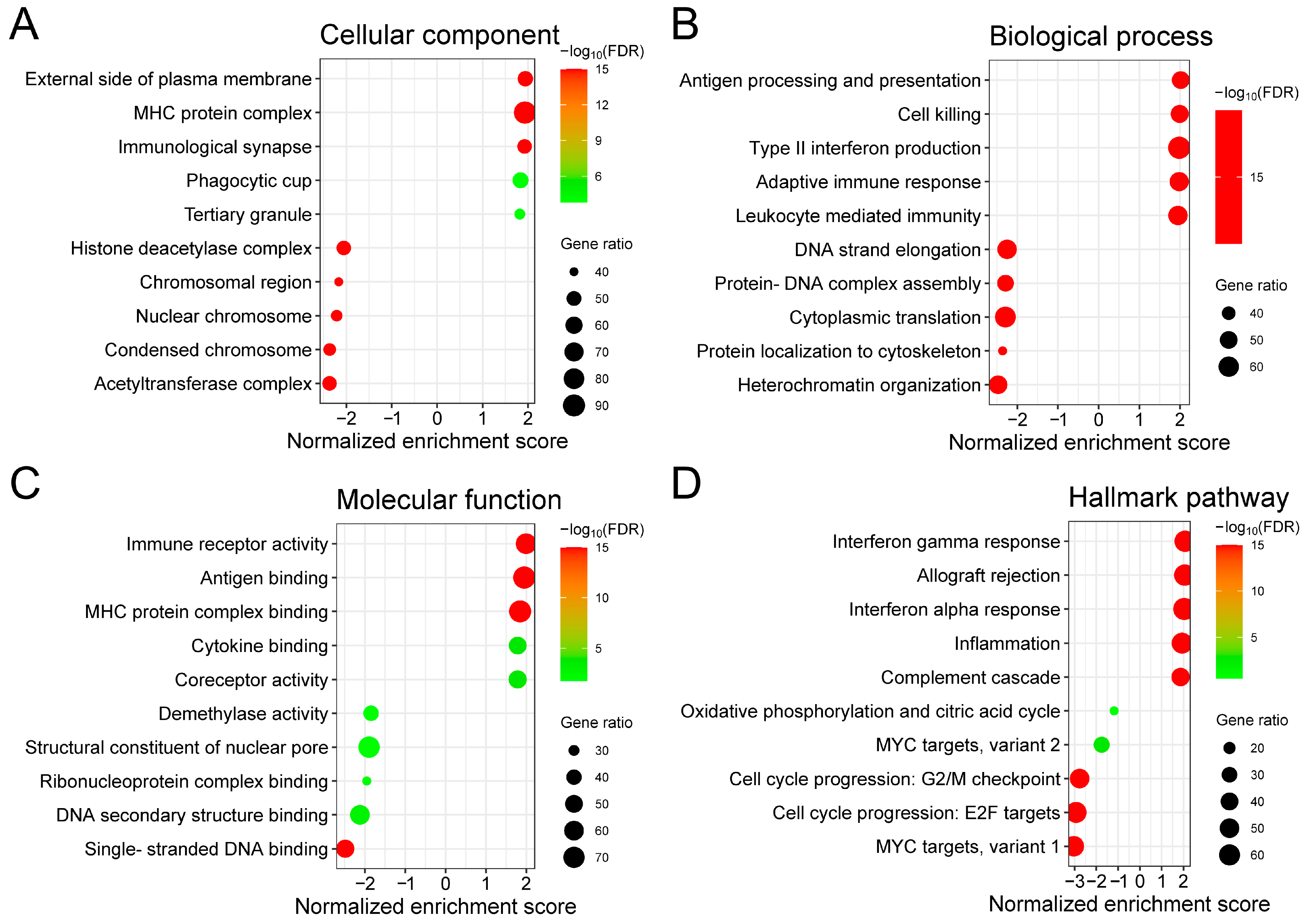 Biomedicines 13 00025 g004