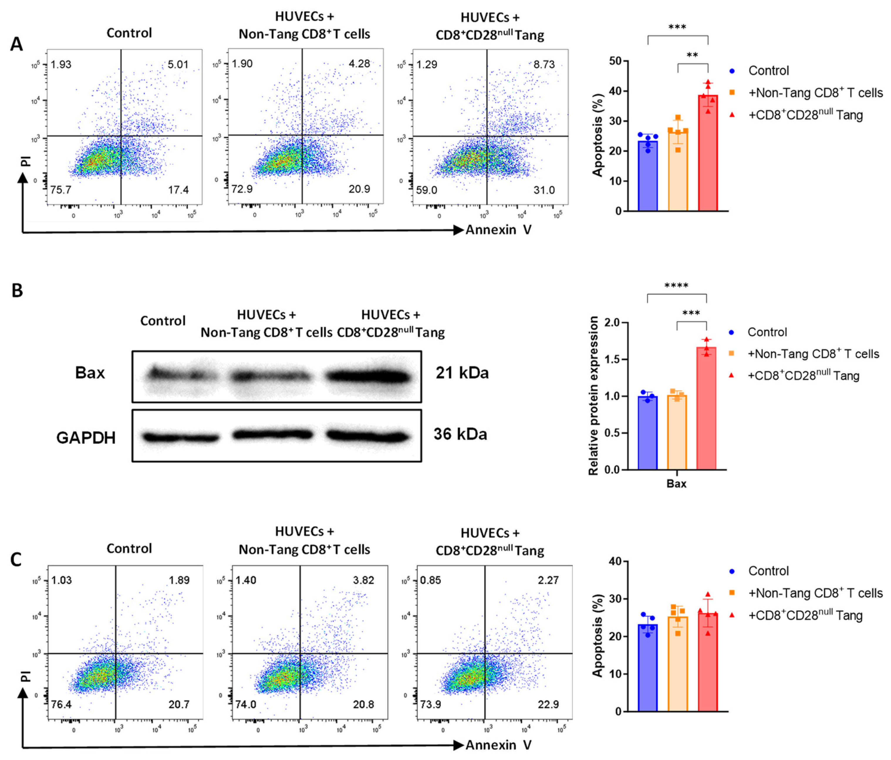 Biomedicines 13 00026 g005