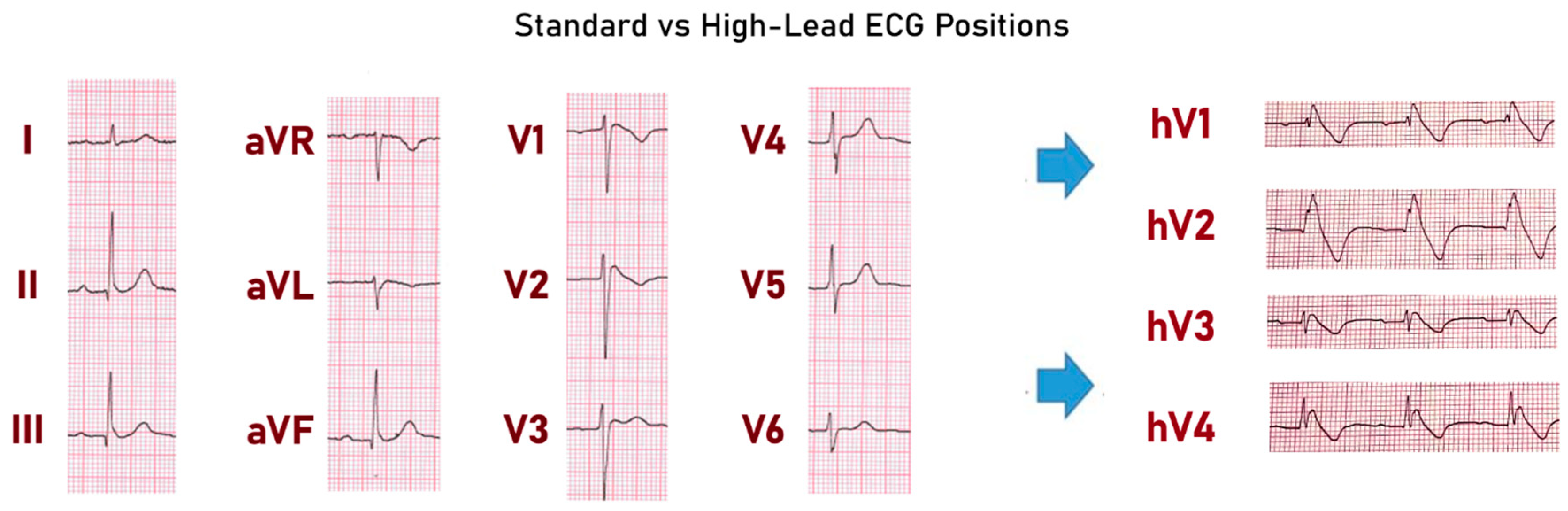 Biomedicines 13 00027 g001