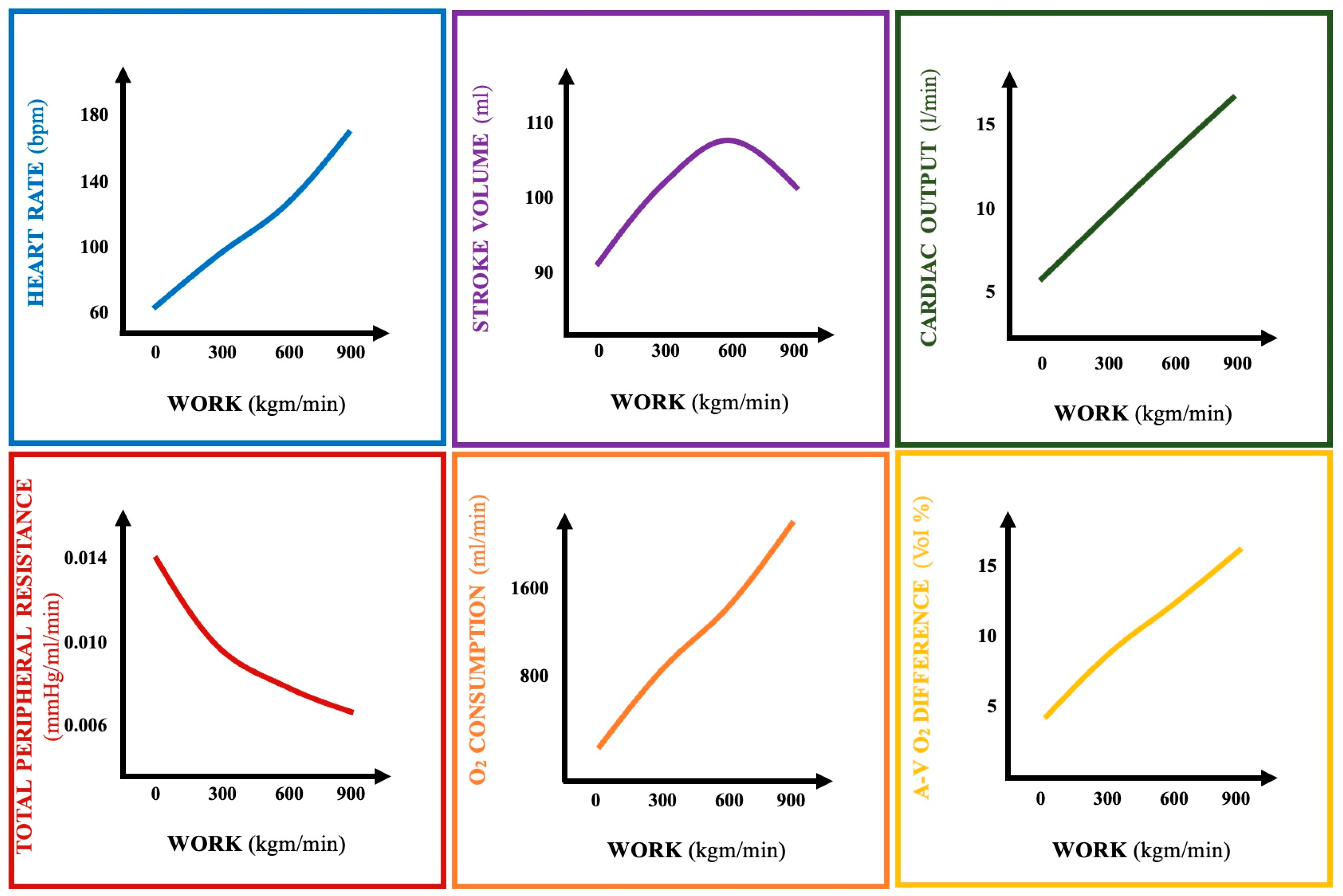 Biomedicines 13 00030 g002 Biomedicines 13 00030 g002