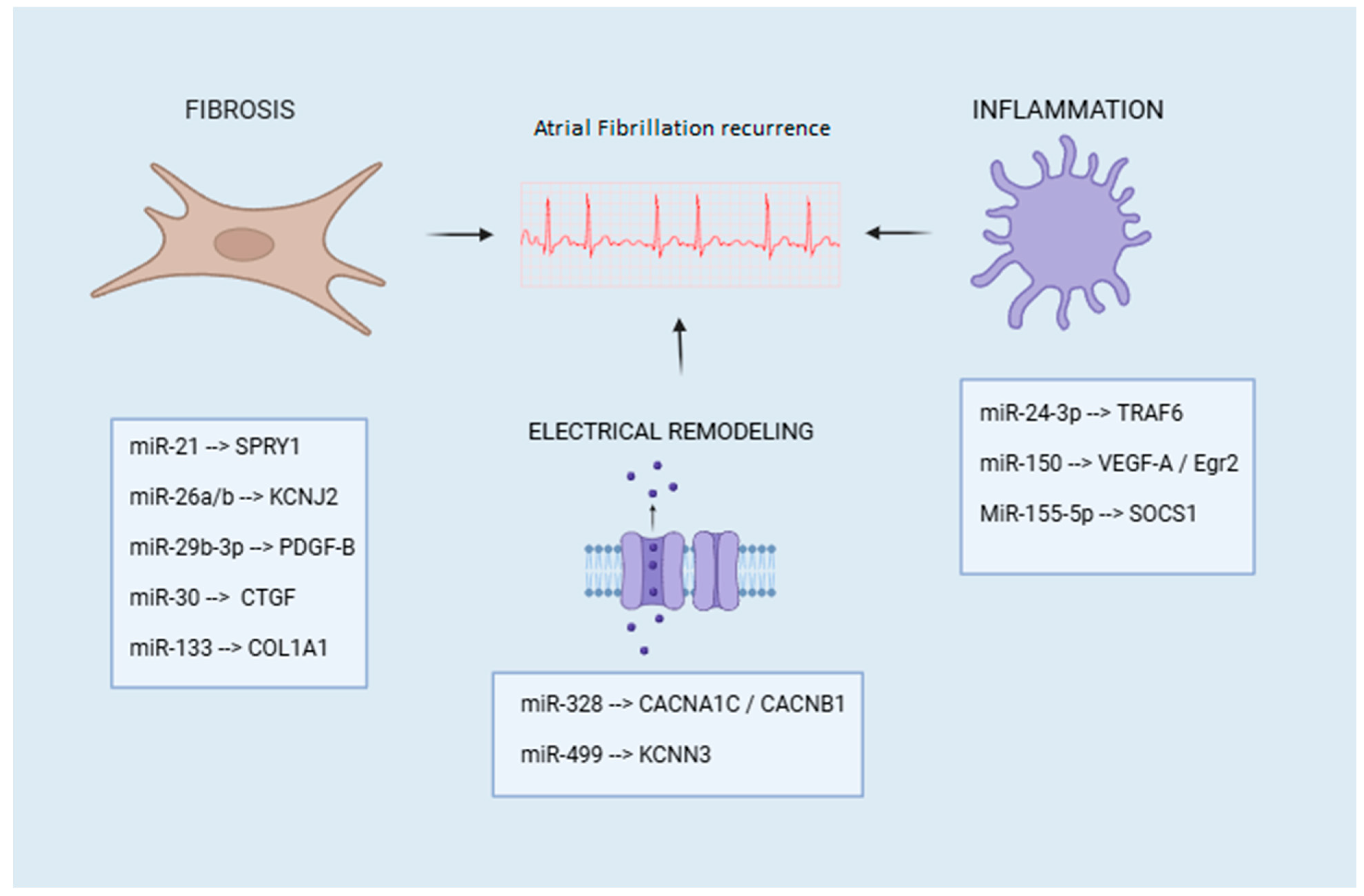 Biomedicines 13 00032 g001