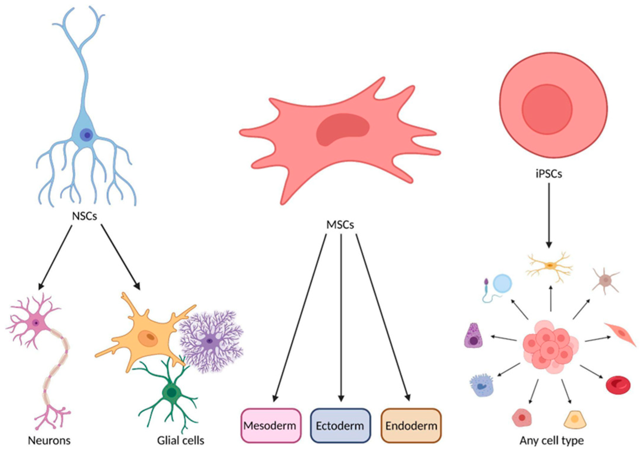 Biomedicines 13 00035 g001 Biomedicines 13 00035 g001
