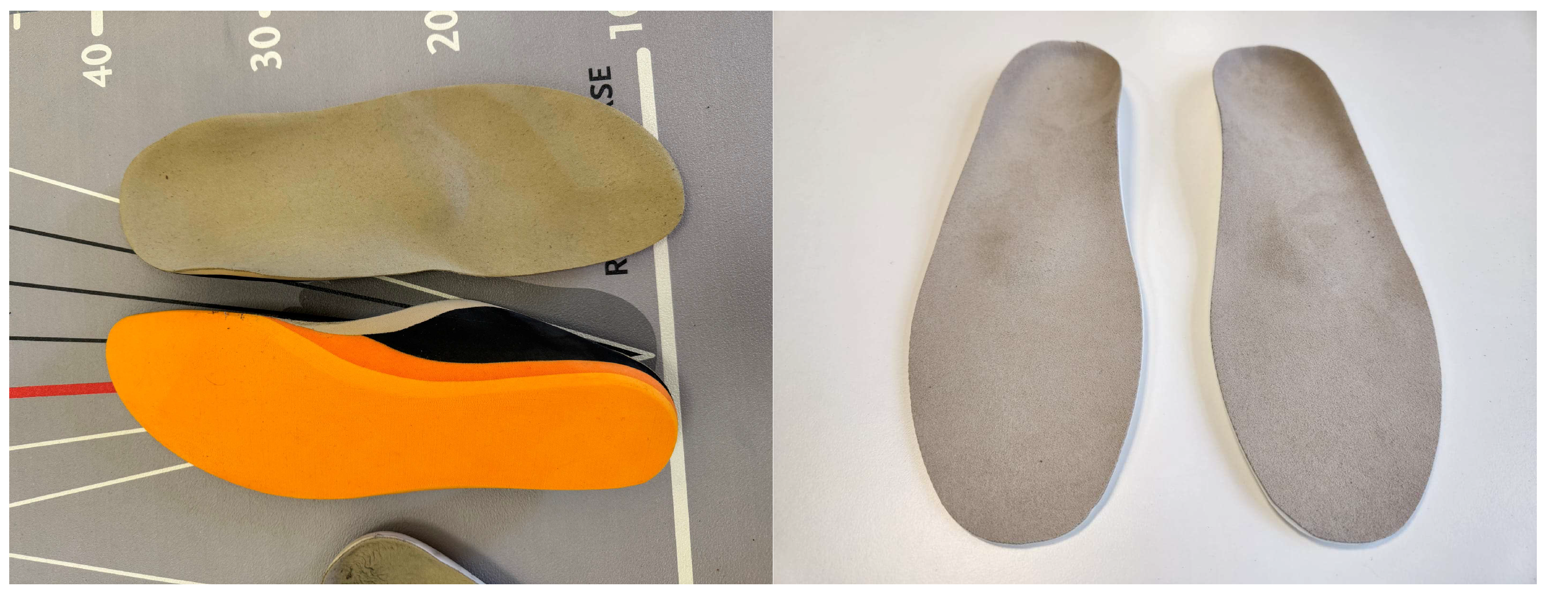 Biomedicines 13 00038 g001