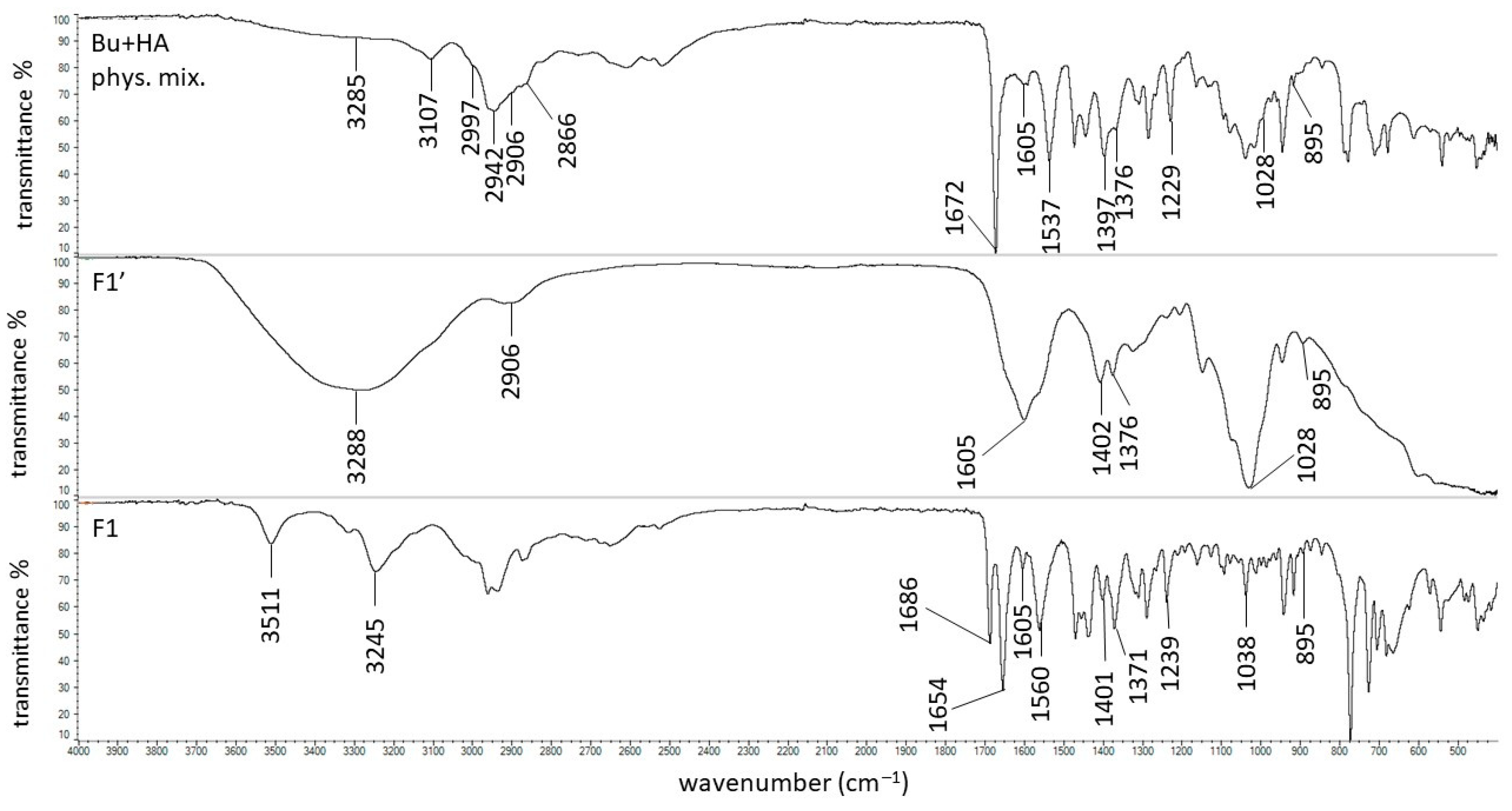 Biomedicines 13 00039 g006 Biomedicines 13 00039 g006