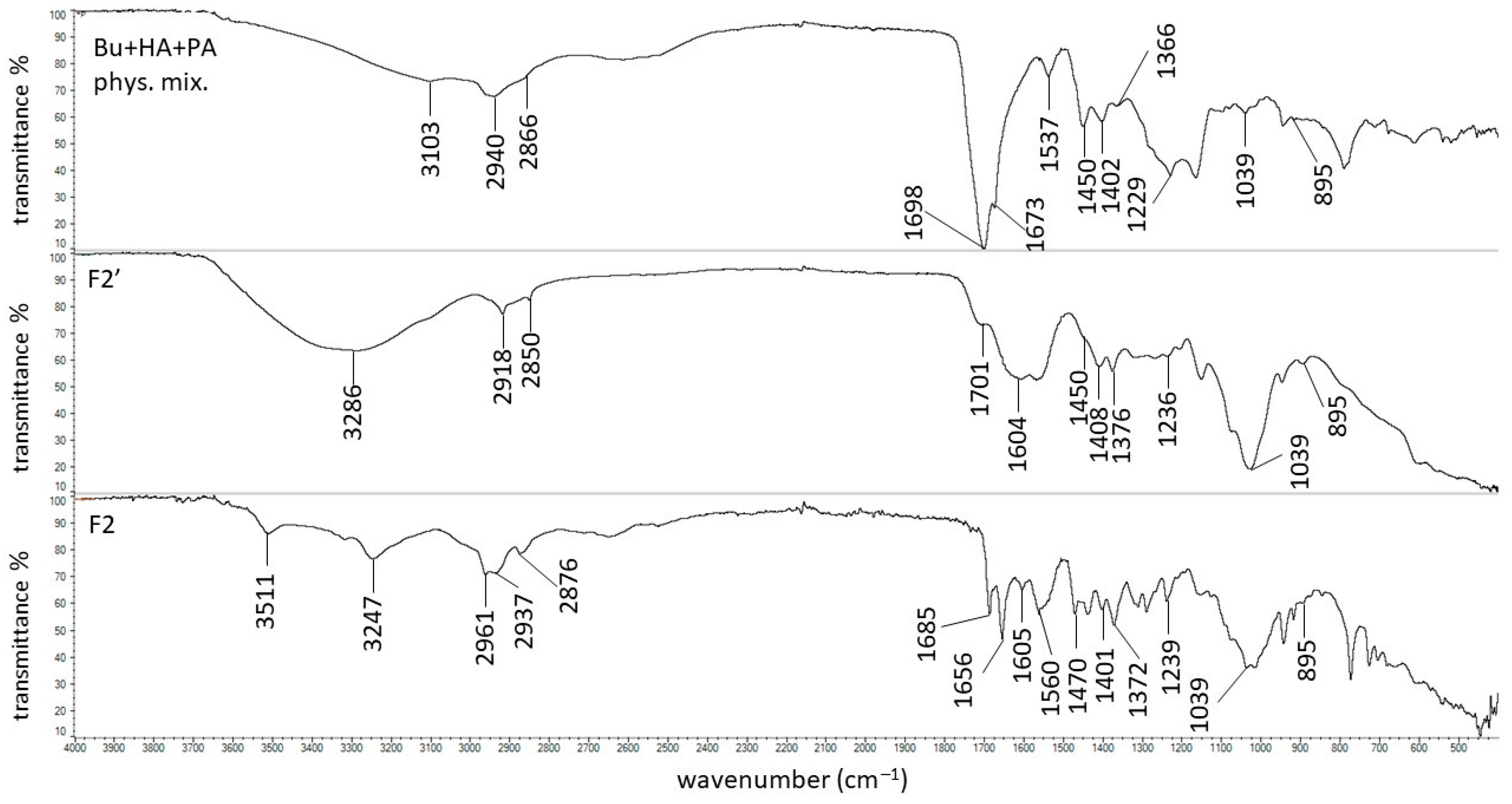 Biomedicines 13 00039 g010 Biomedicines 13 00039 g010