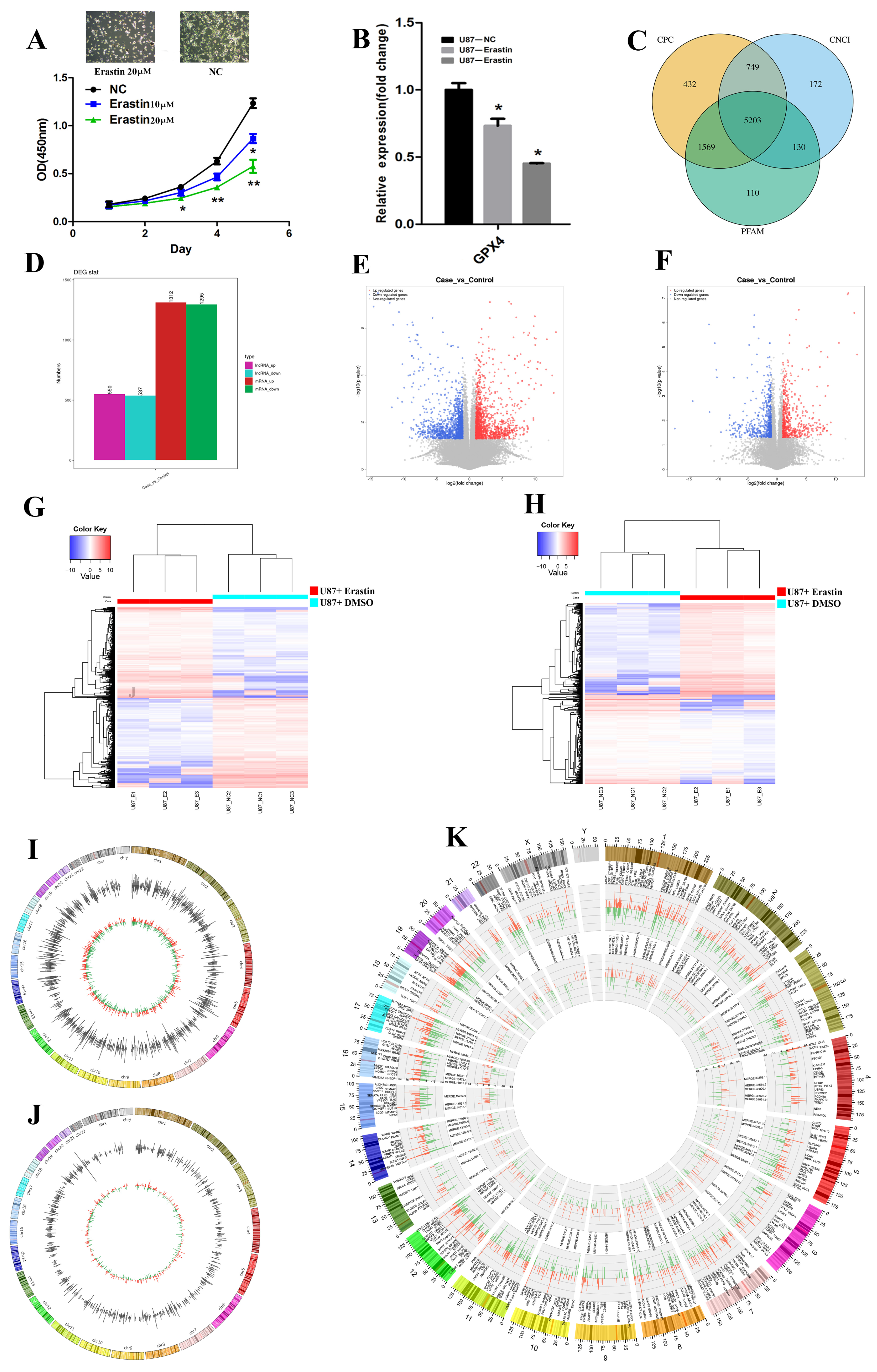 Biomedicines 13 00041 g001