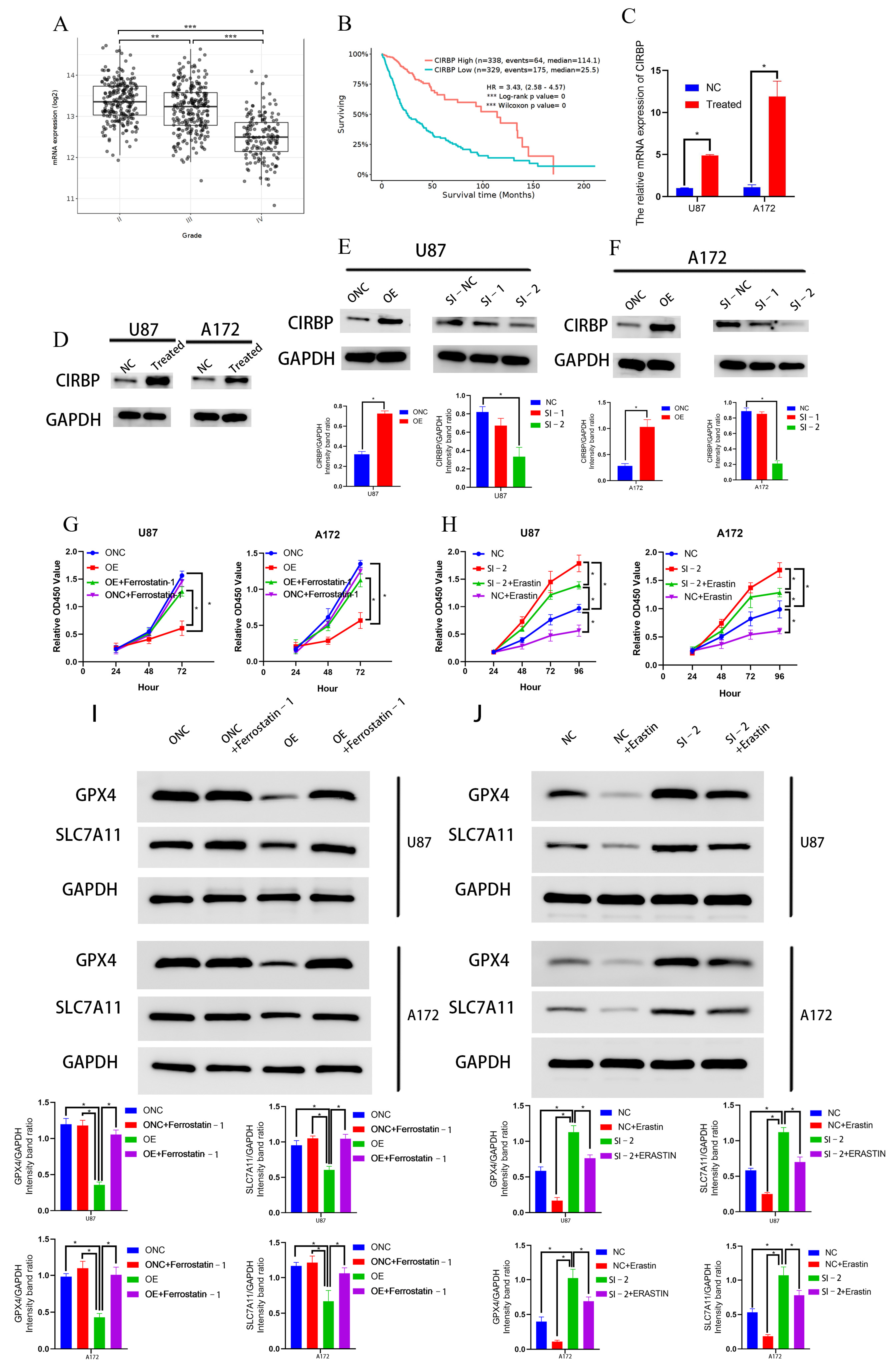Biomedicines 13 00041 g005