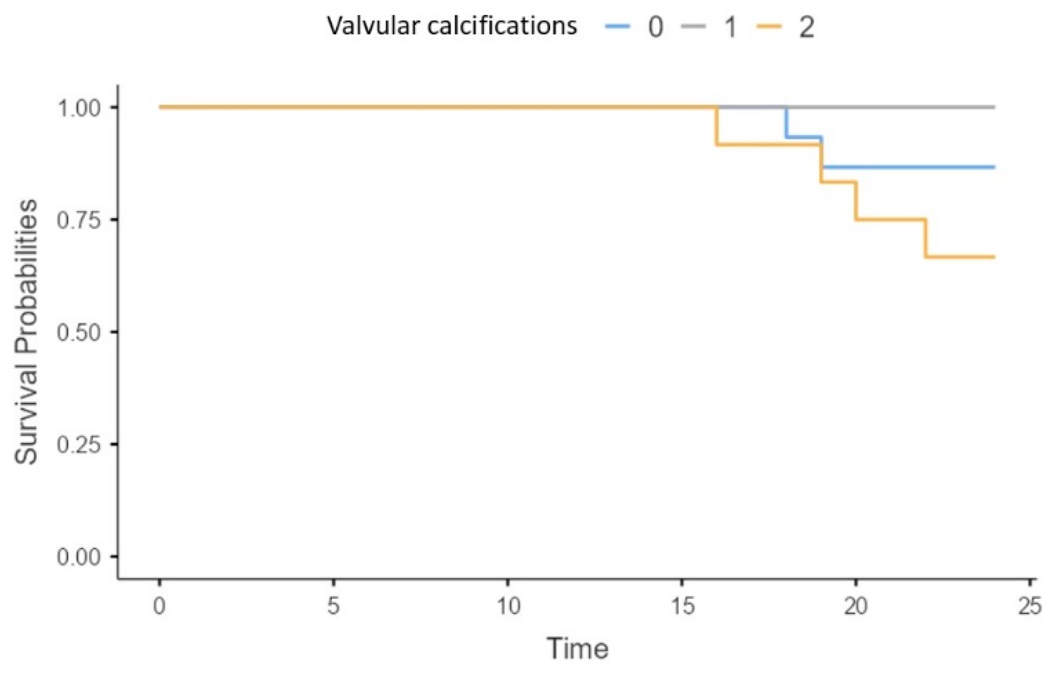 Biomedicines 13 00048 g004