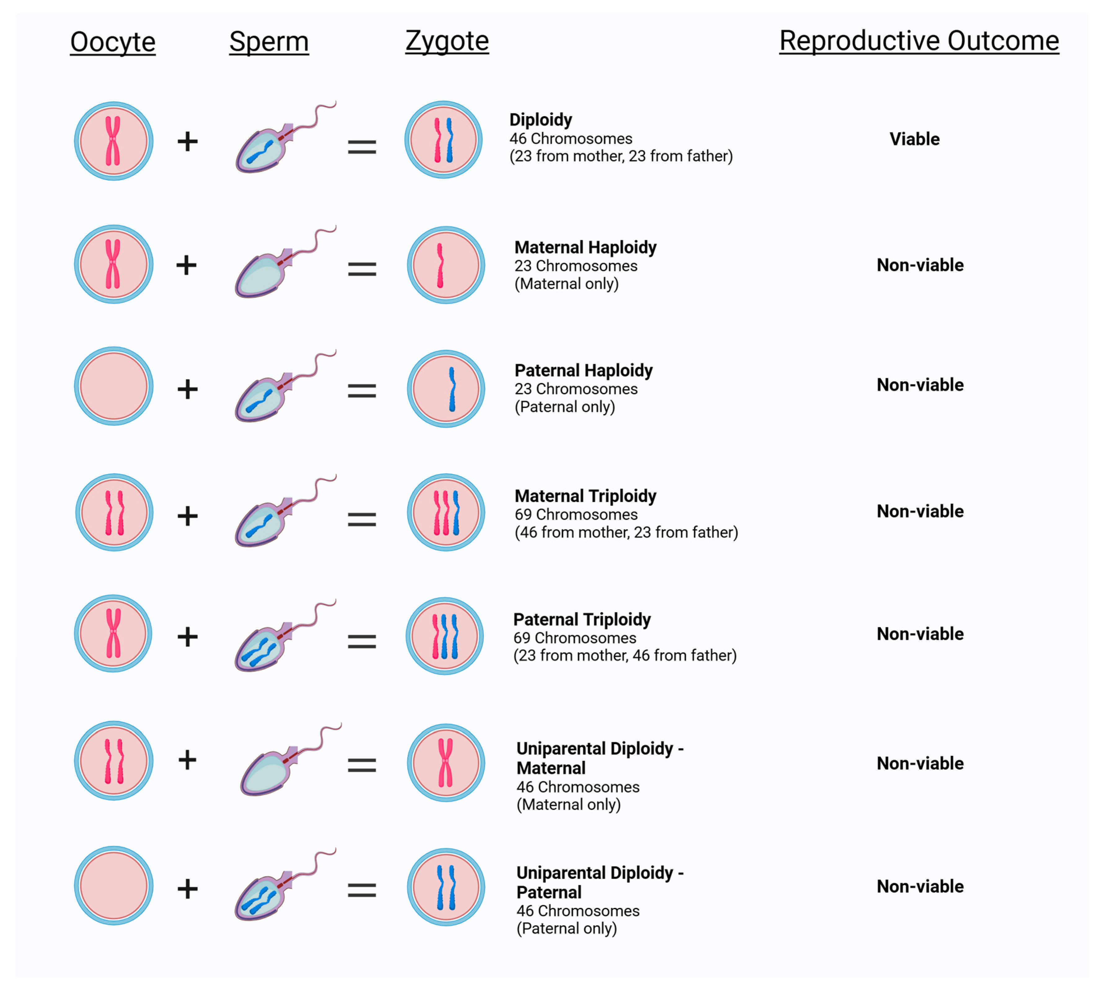 Biomedicines 13 00051 g001
