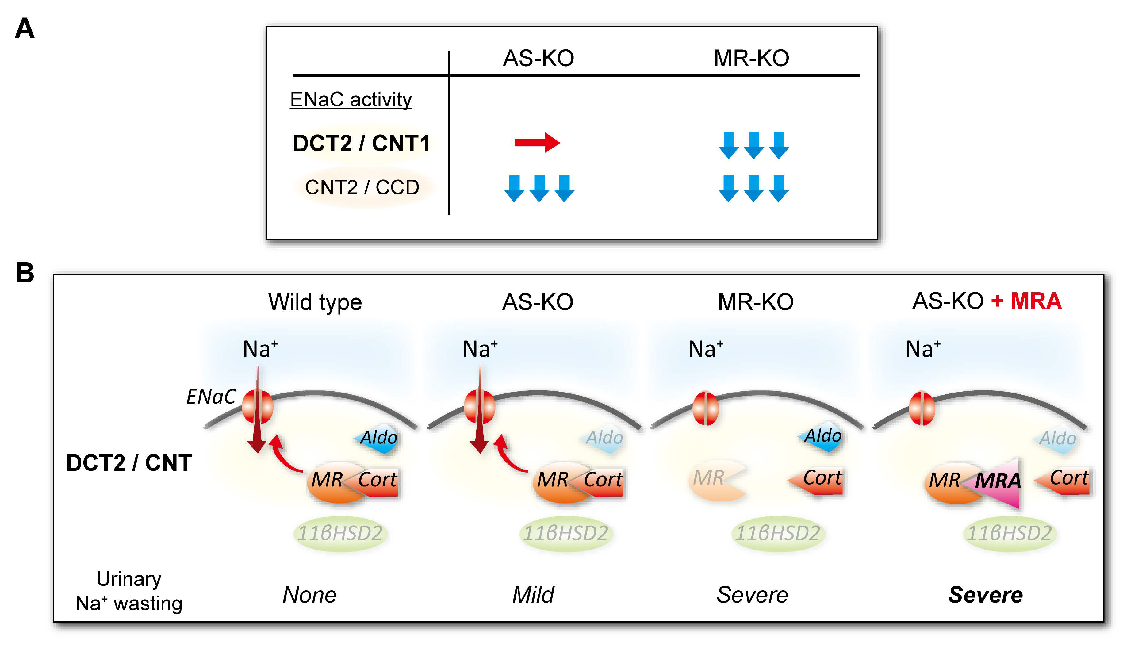 Biomedicines 13 00053 g002 Biomedicines 13 00053 g002