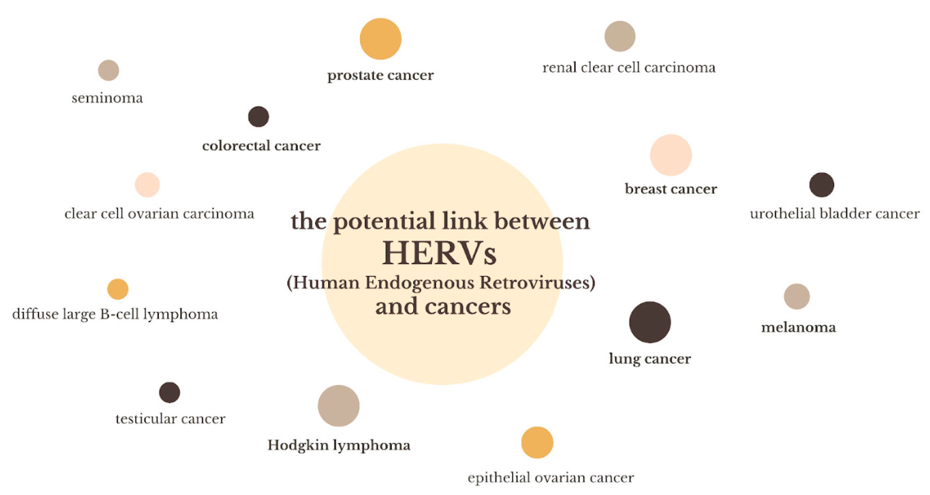 Biomedicines 13 00059 g002