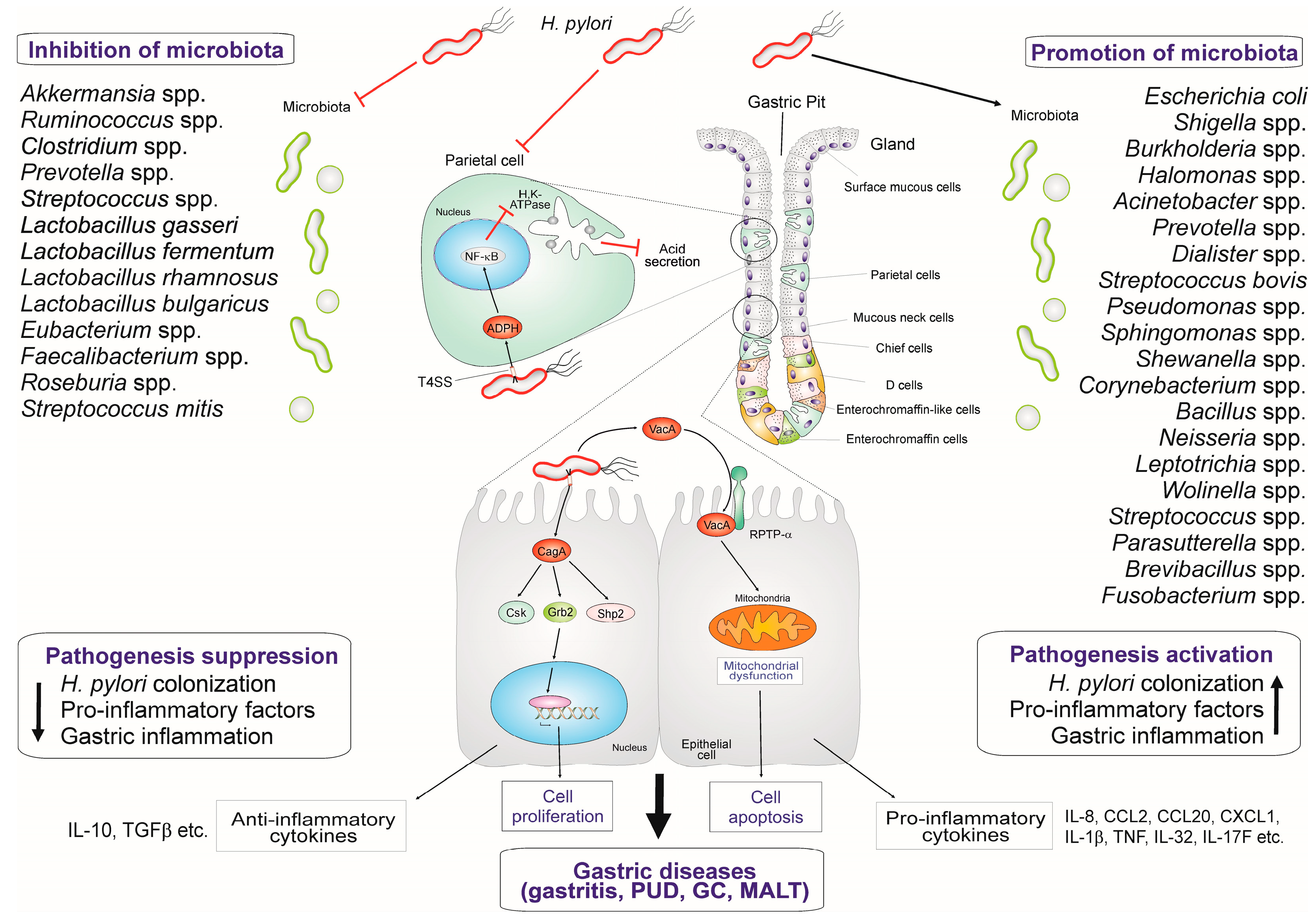 Biomedicines 13 00061 g002