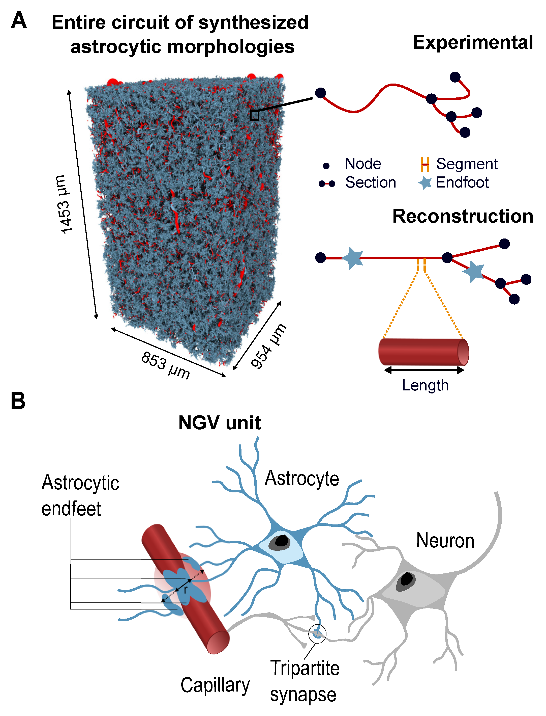 Biomedicines 13 00072 g001