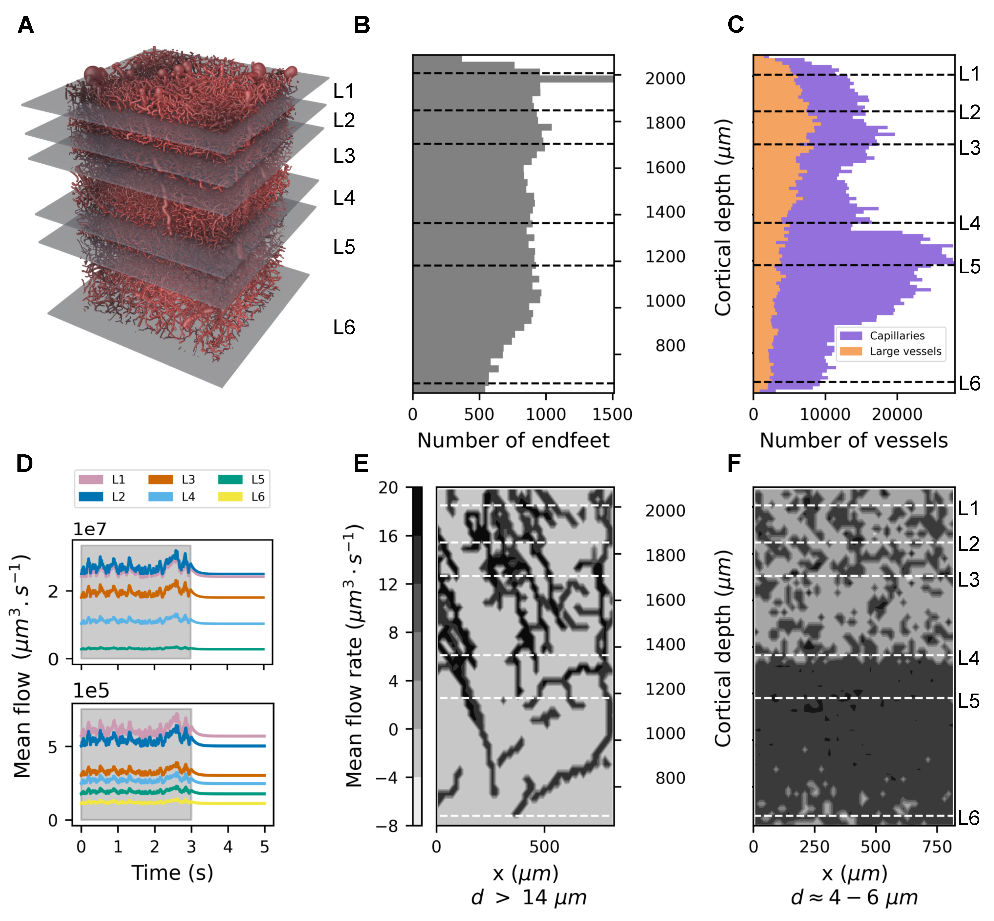 Biomedicines 13 00072 g002
