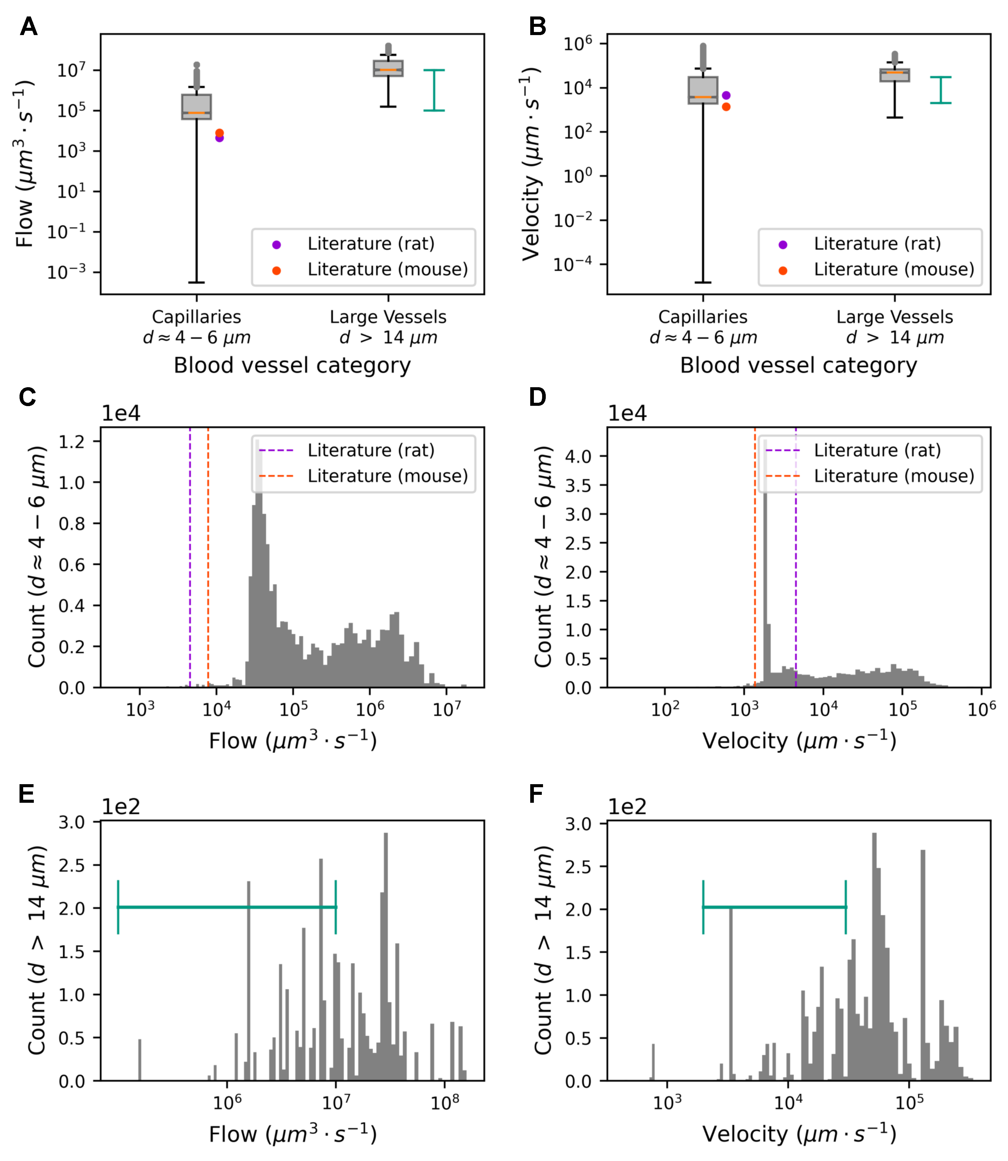 Biomedicines 13 00072 g004