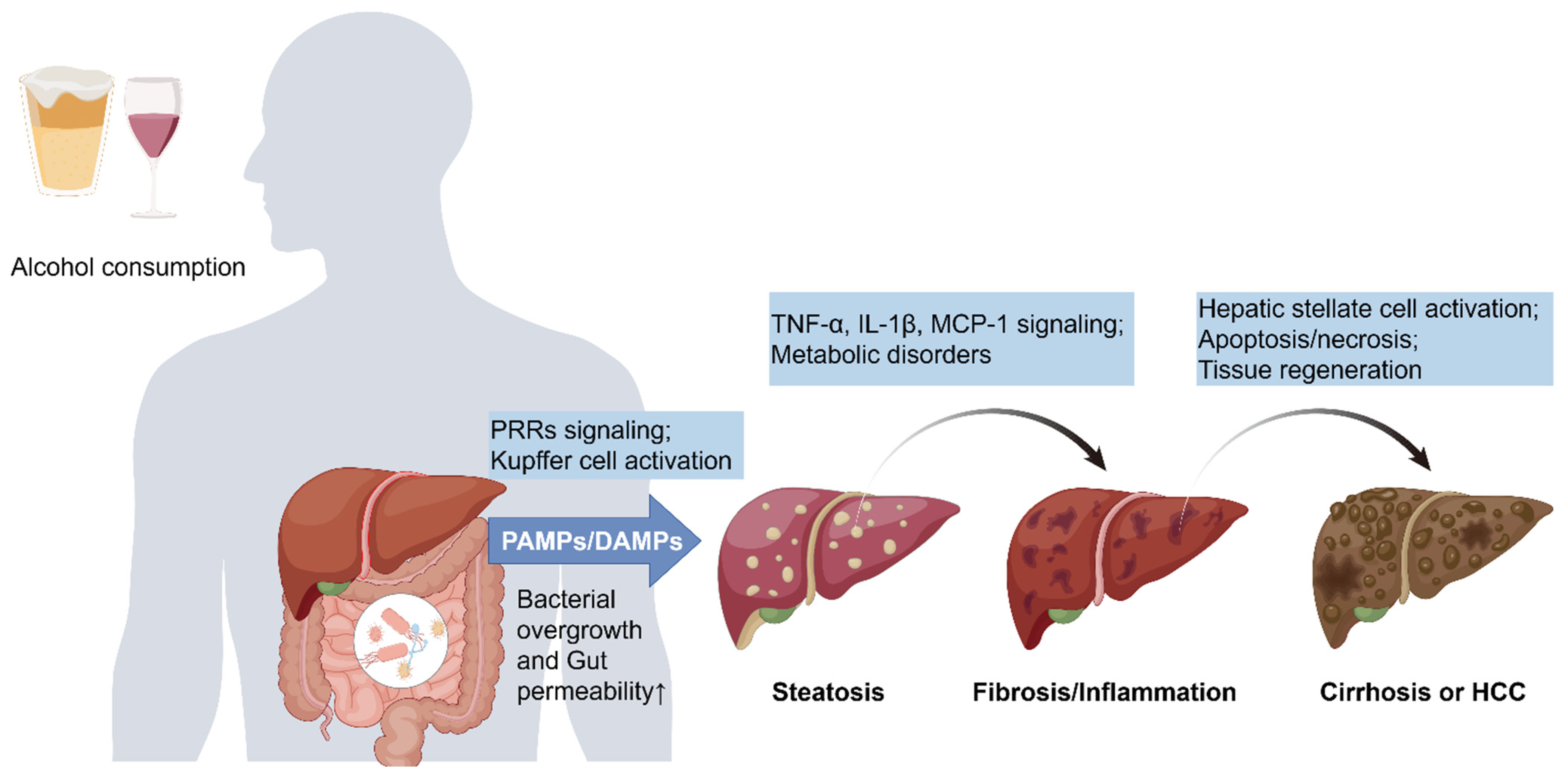 Biomedicines 13 00074 g001