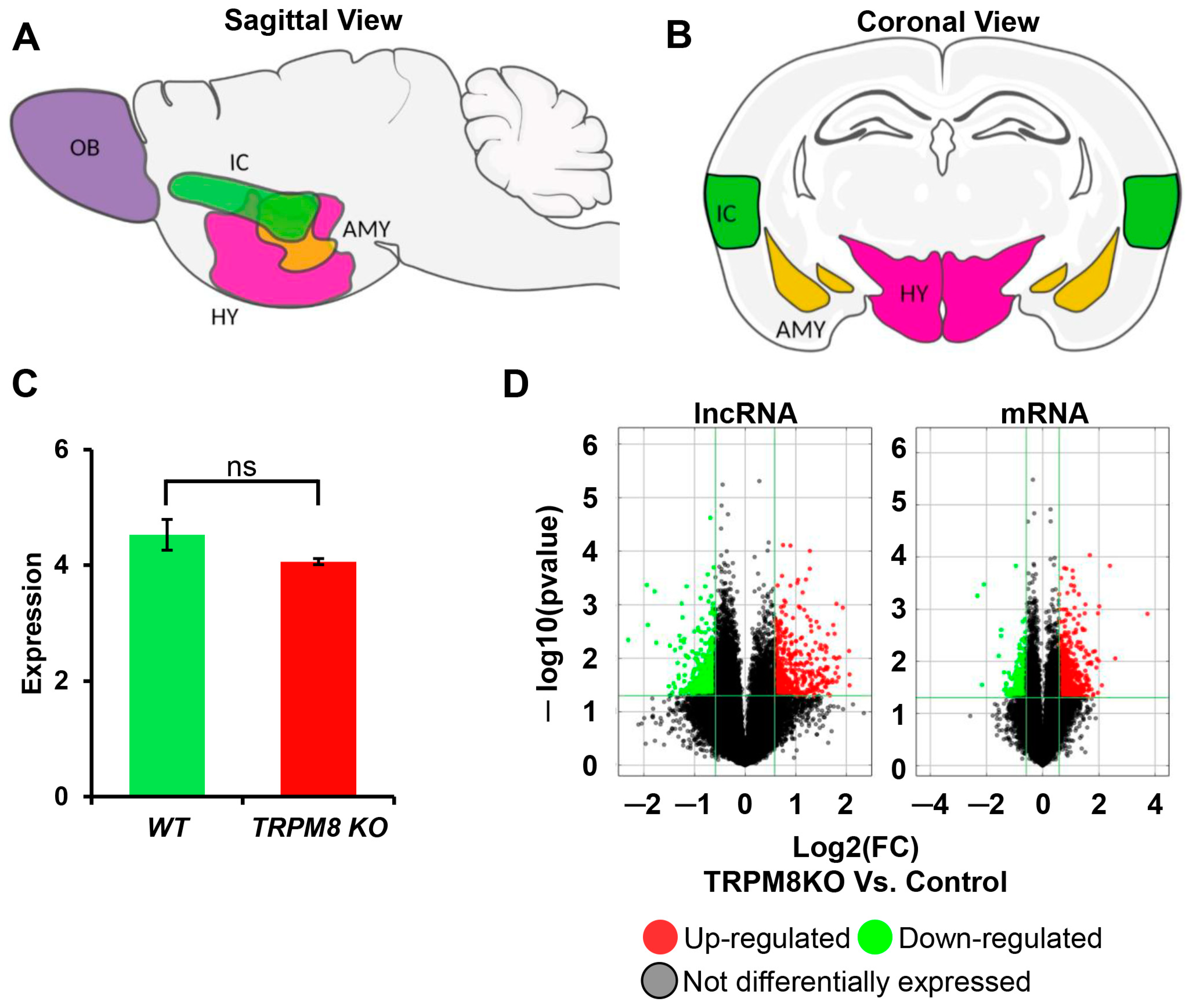 Biomedicines 13 00075 g001