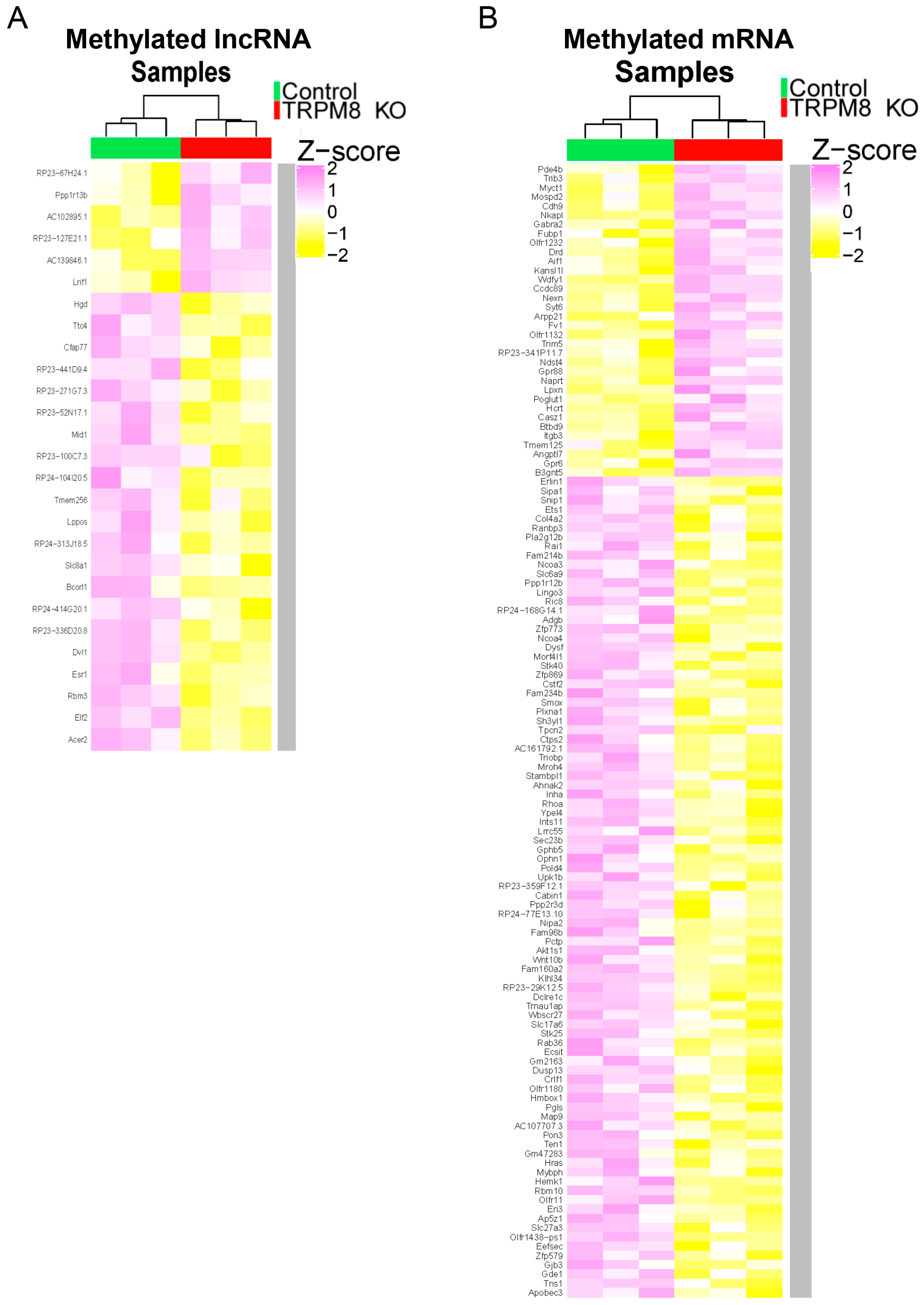 Biomedicines 13 00075 g003