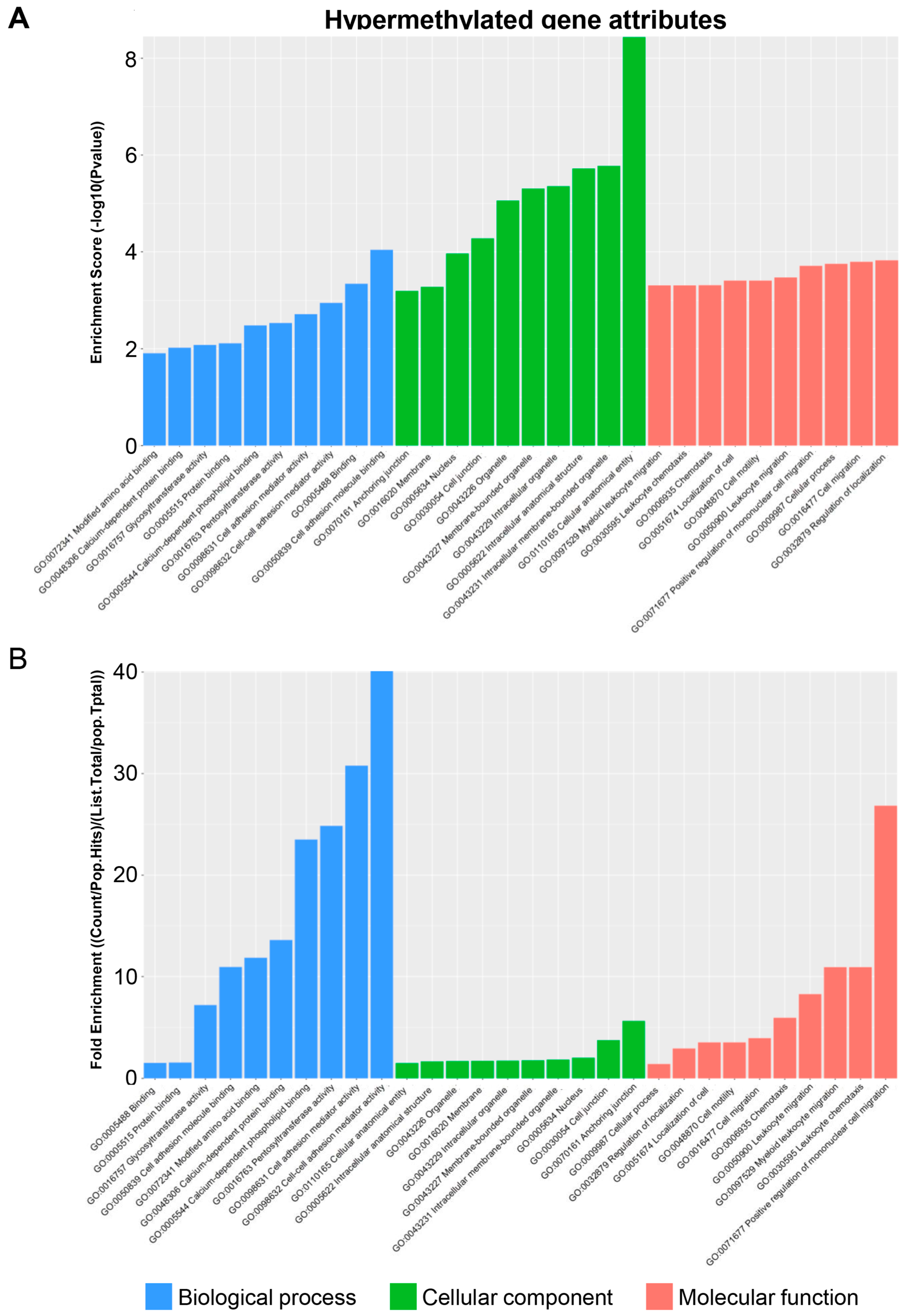 Biomedicines 13 00075 g005