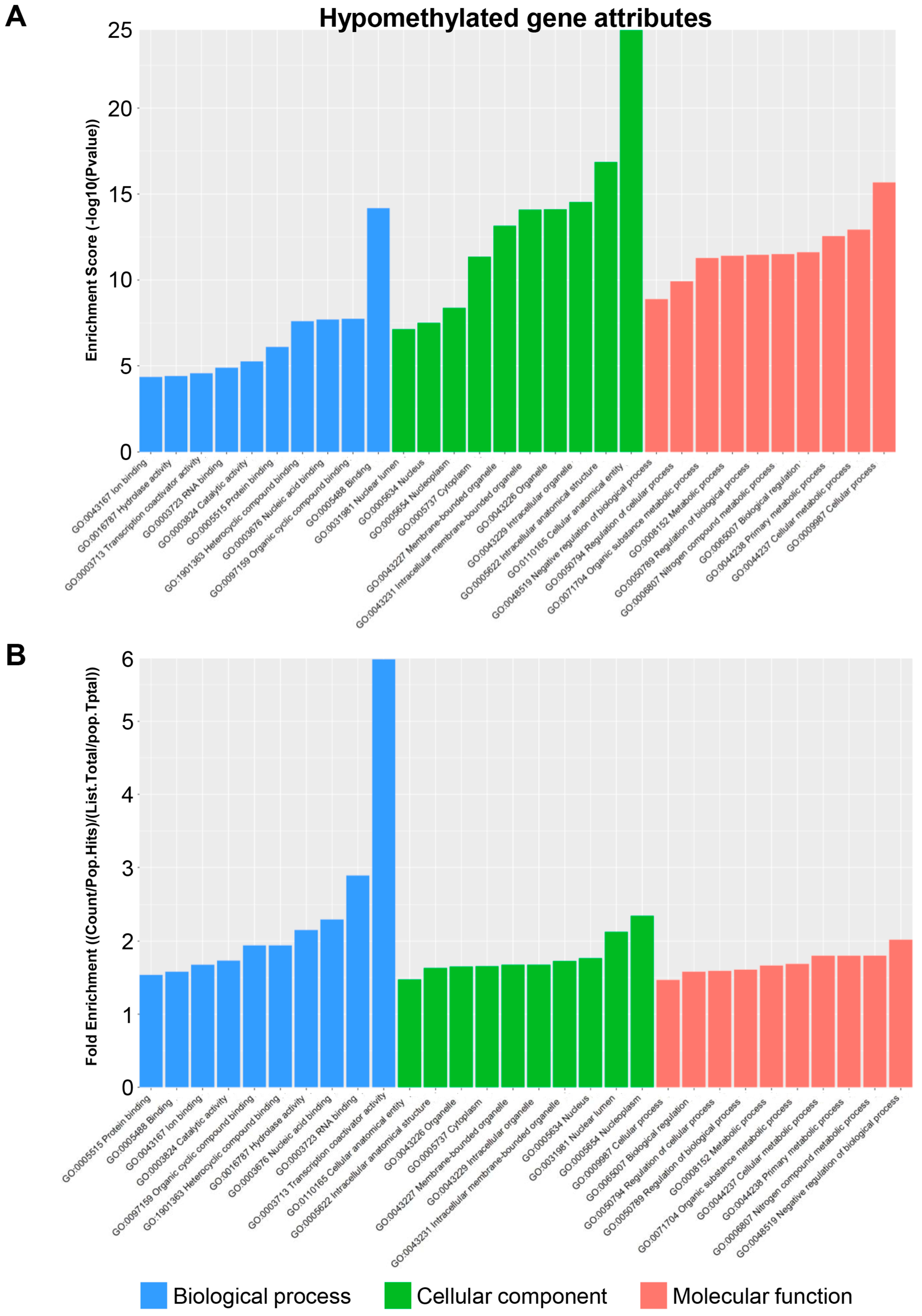 Biomedicines 13 00075 g006