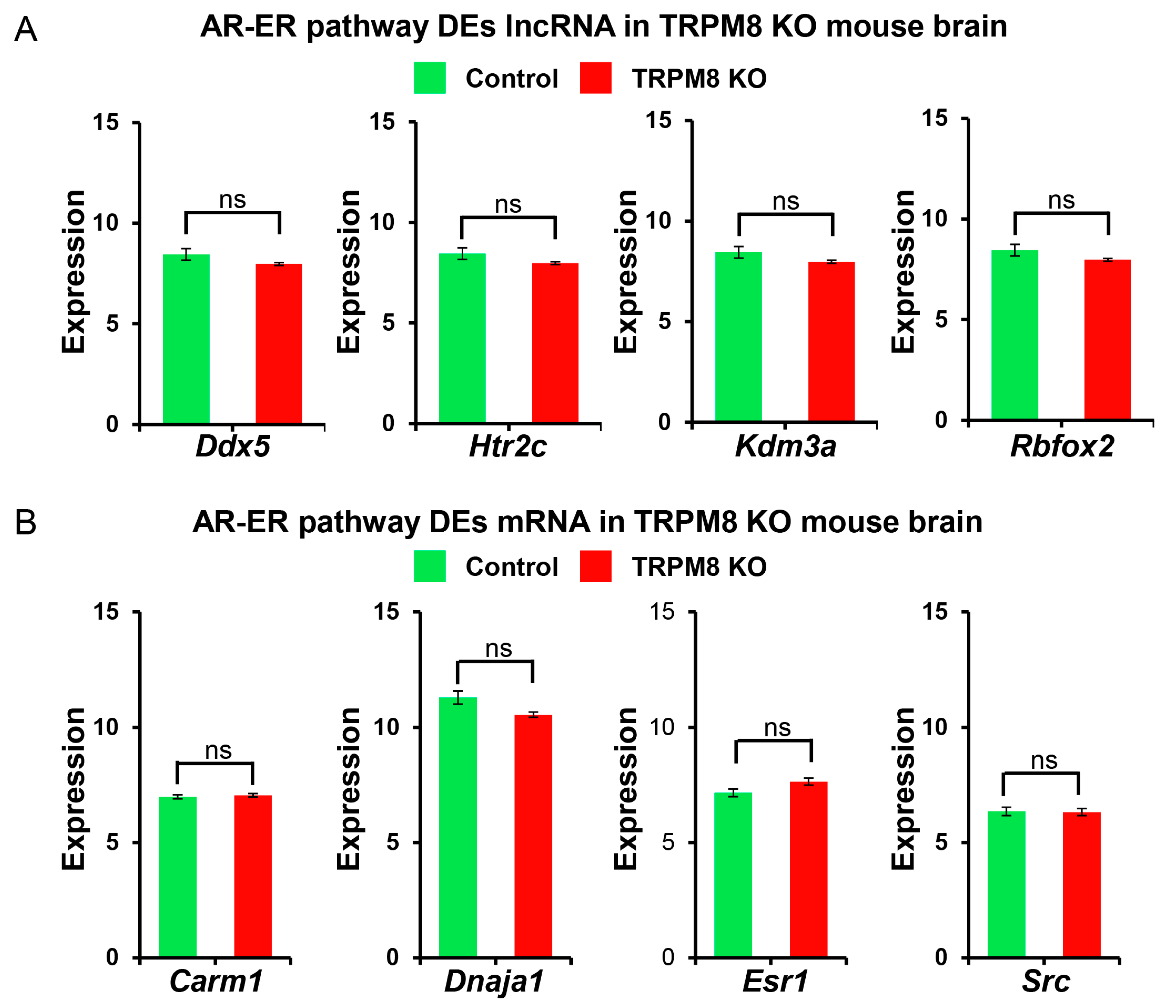Biomedicines 13 00075 g008