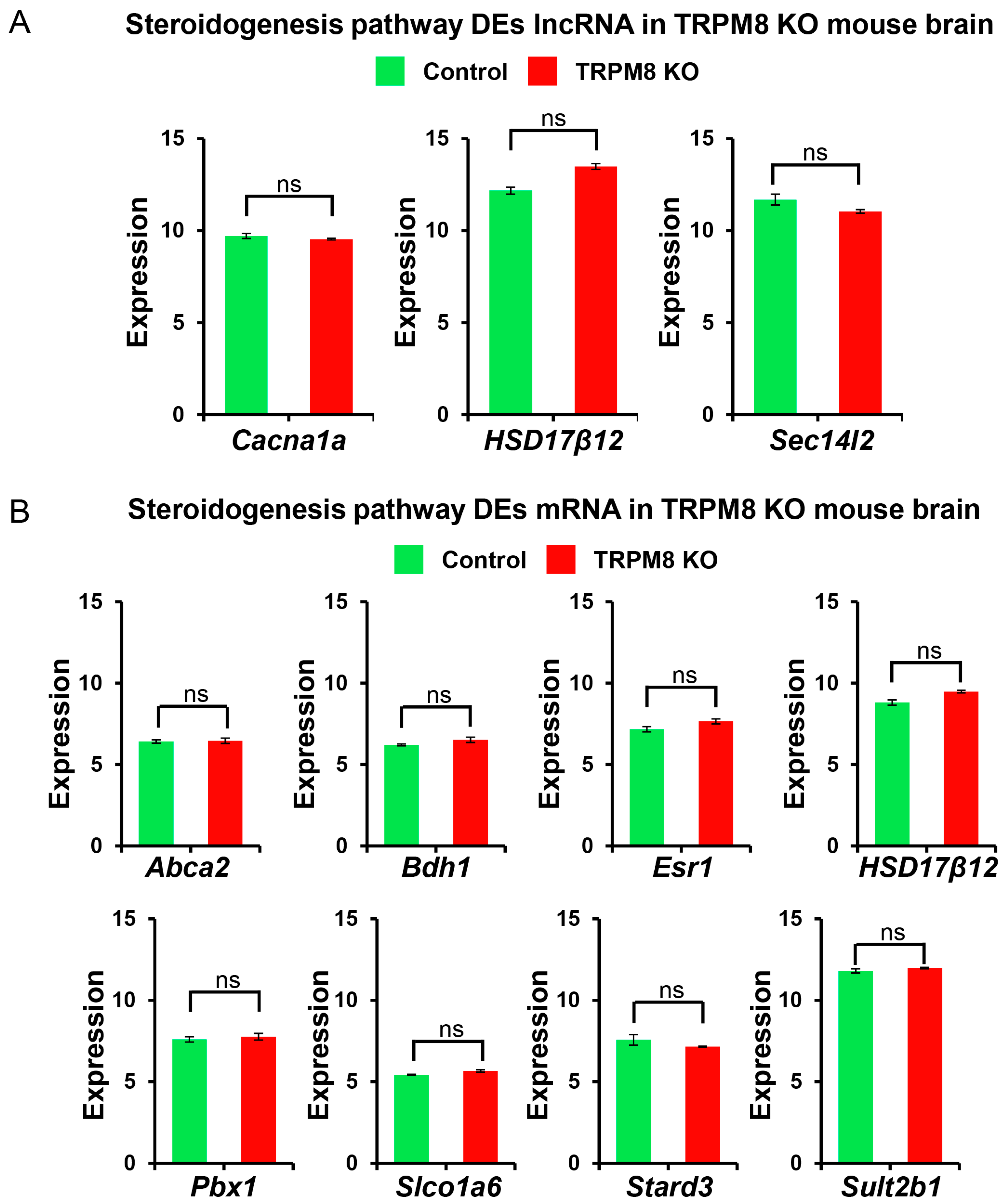 Biomedicines 13 00075 g009