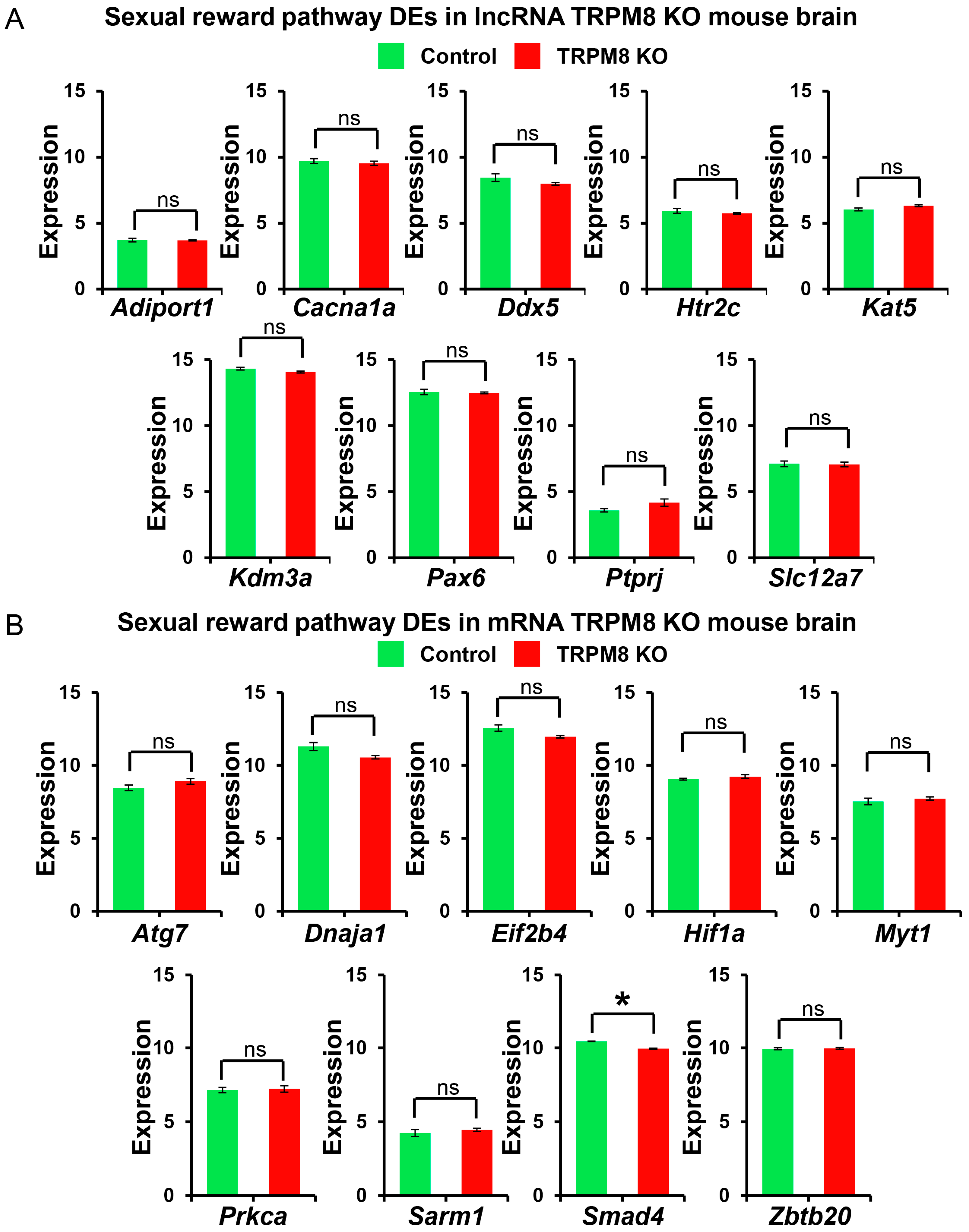 Biomedicines 13 00075 g010