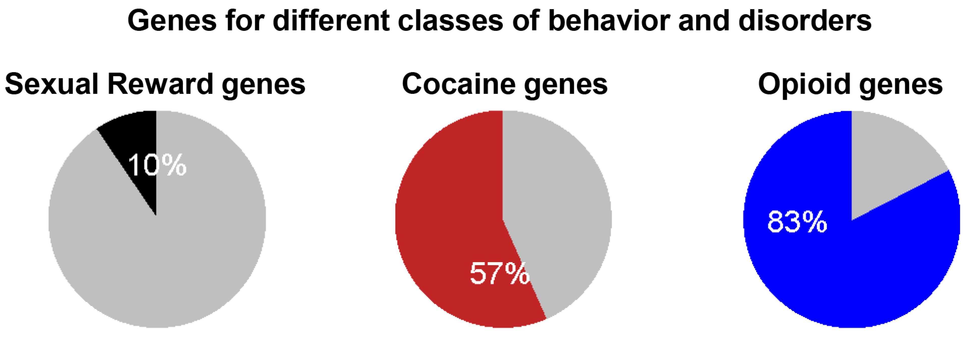 Biomedicines 13 00075 g012