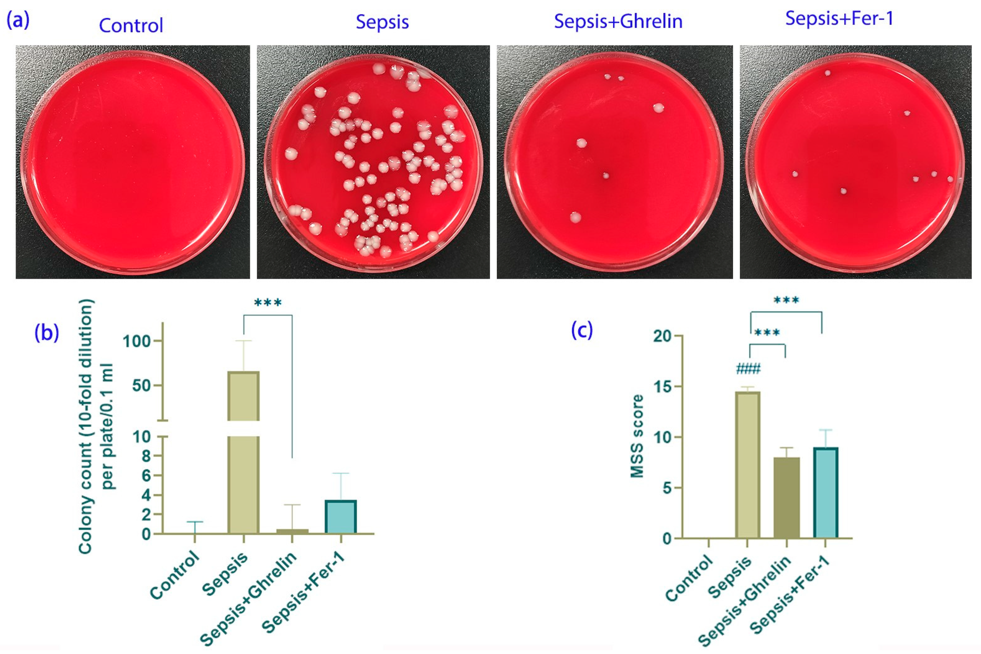 Biomedicines 13 00077 g001