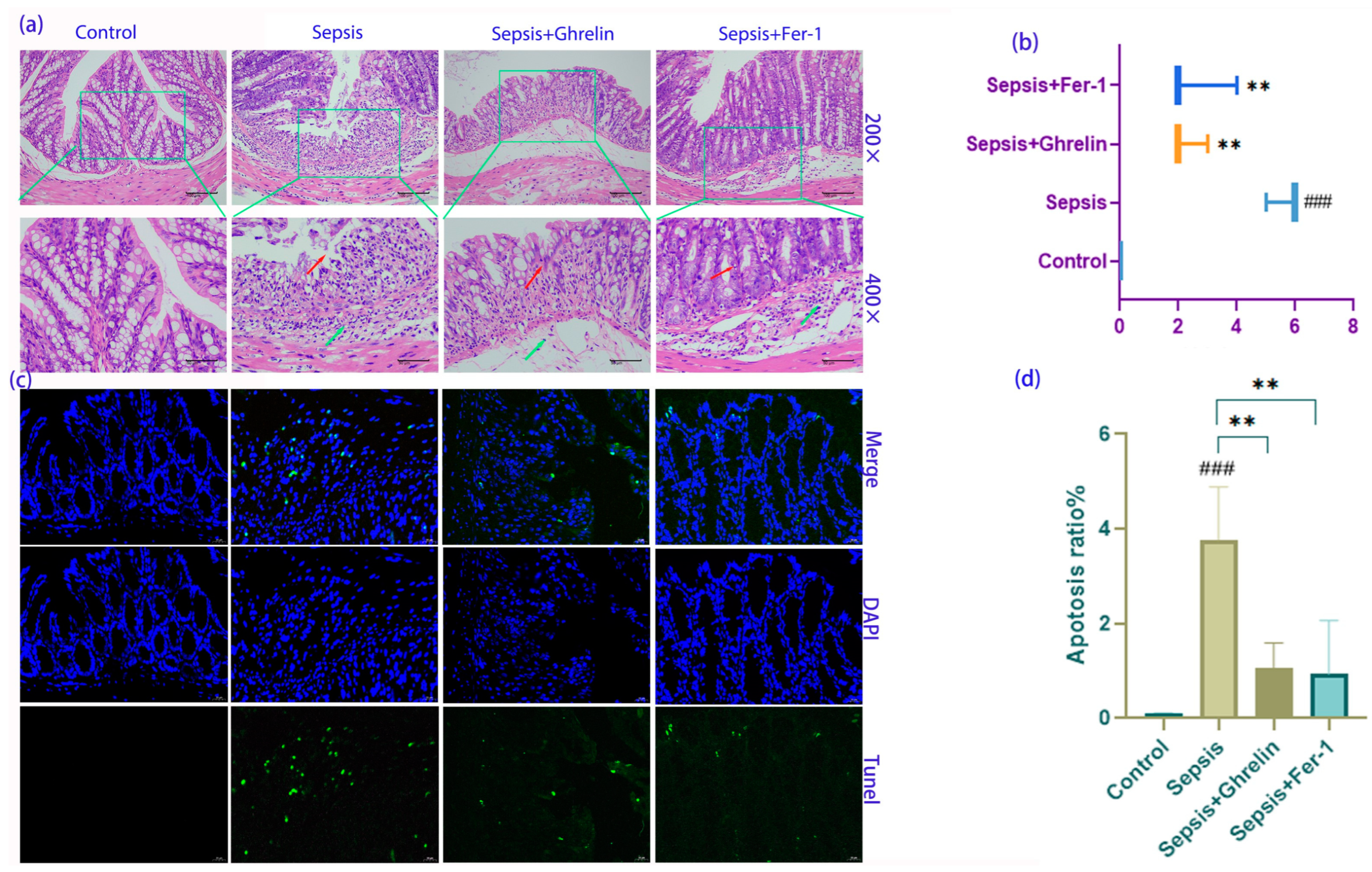 Biomedicines 13 00077 g002