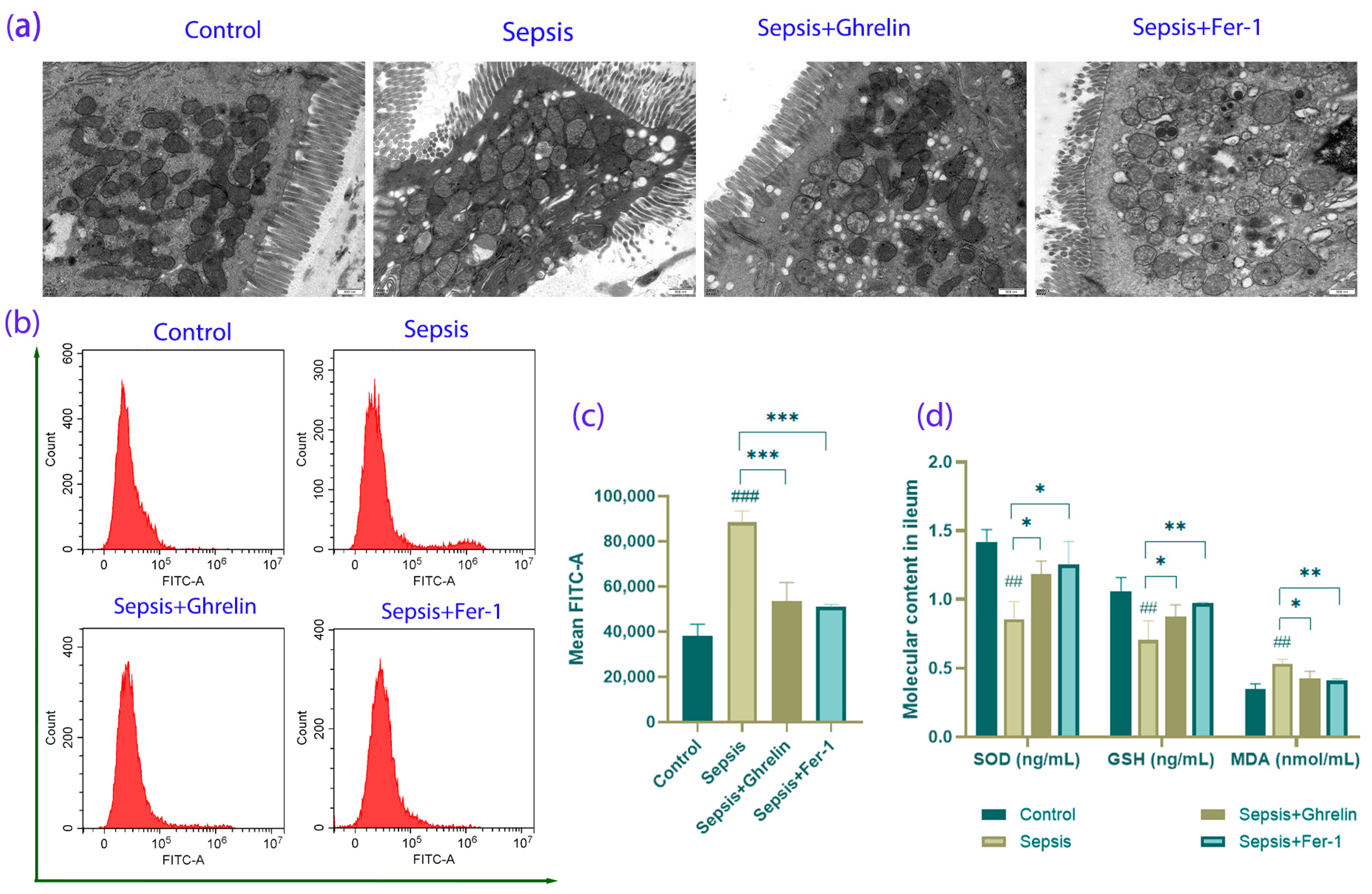 Biomedicines 13 00077 g004