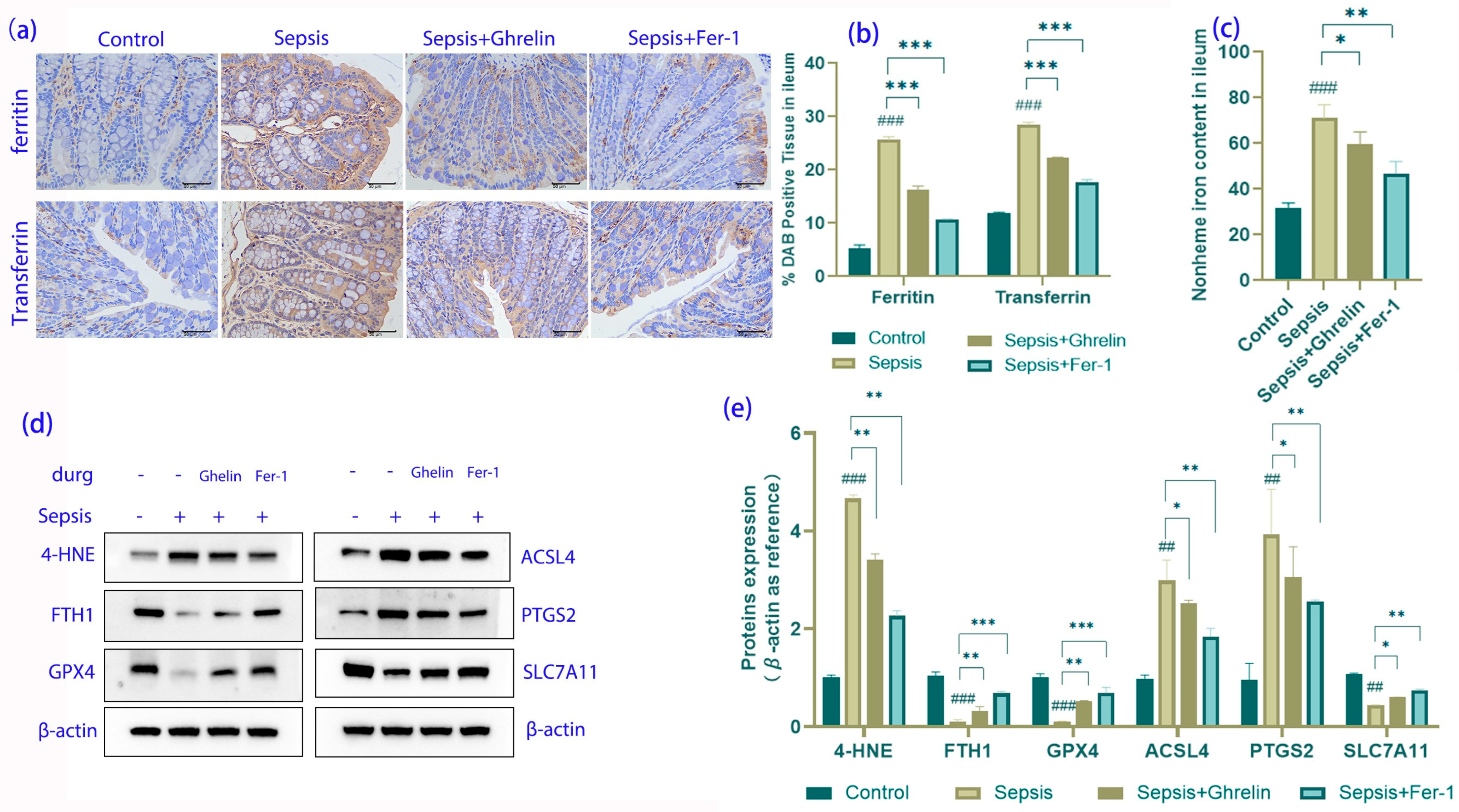 Biomedicines 13 00077 g005
