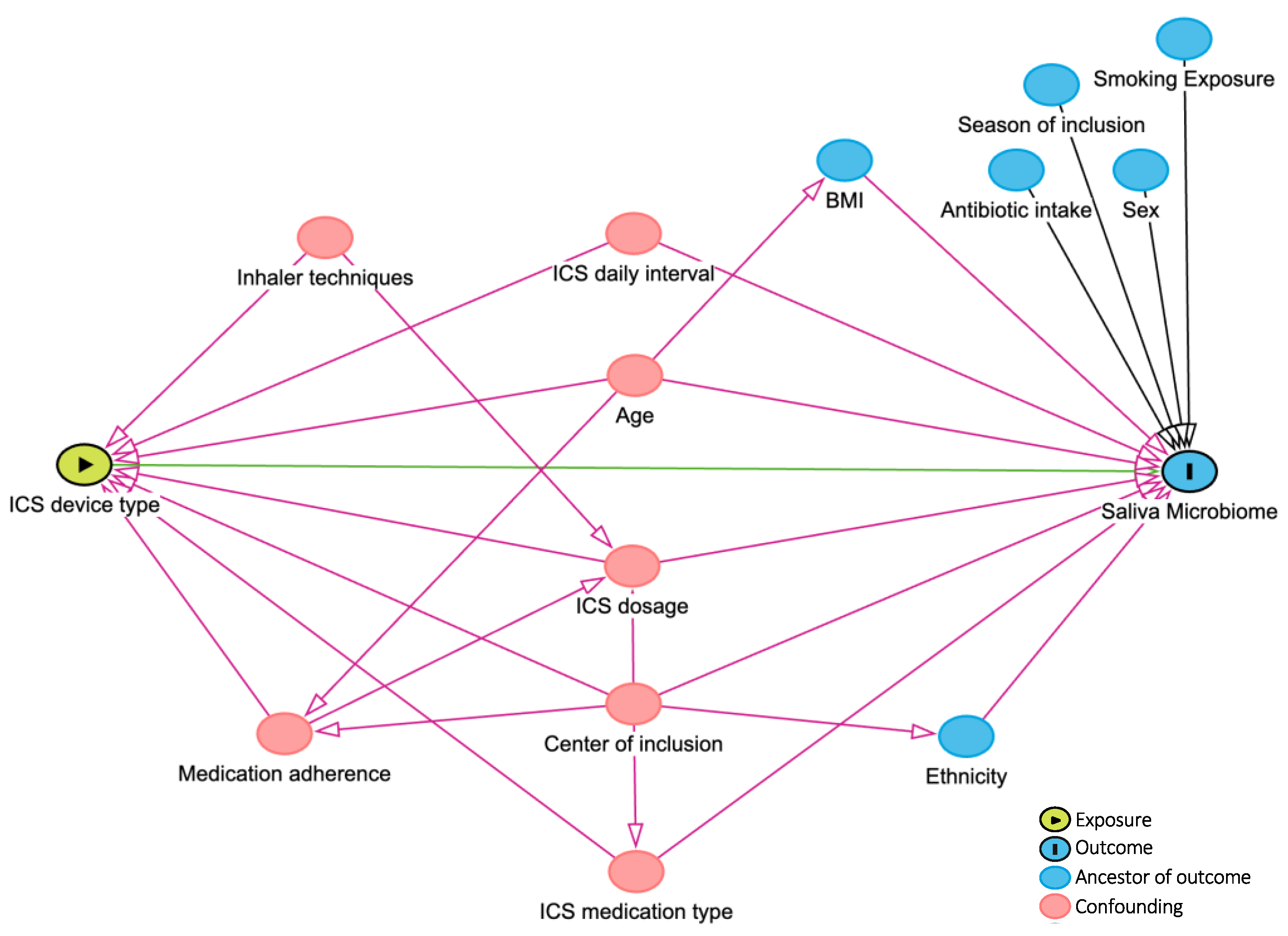 Biomedicines 13 00089 g002