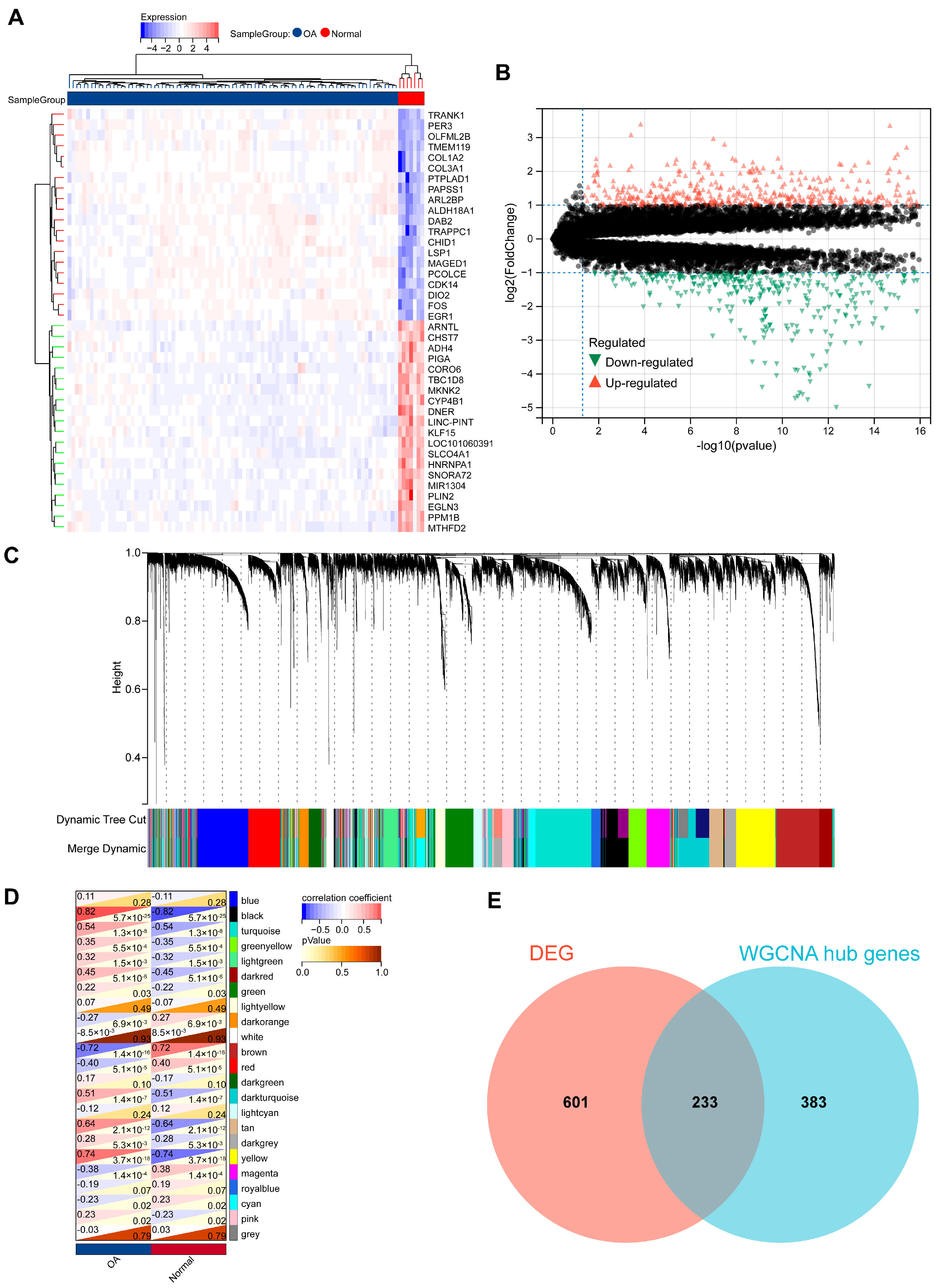 Biomedicines 13 00090 g002