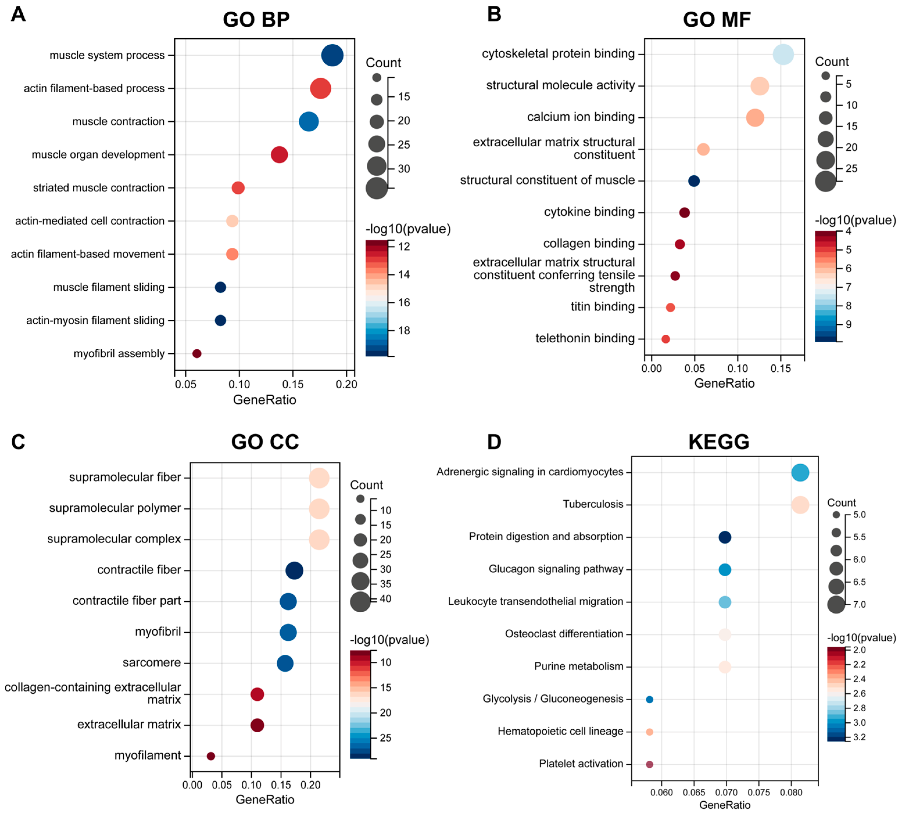 Biomedicines 13 00090 g003