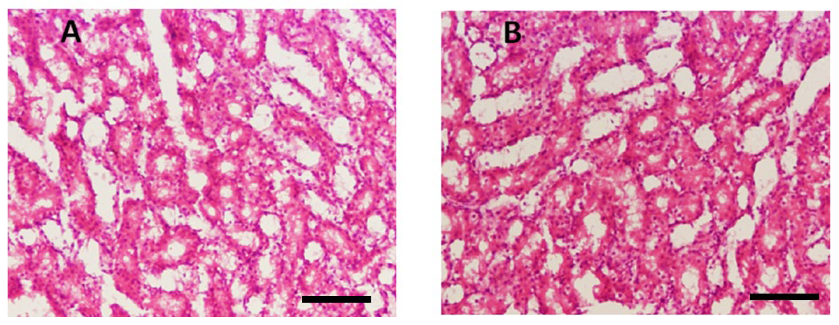 Biomedicines 13 00093 g006