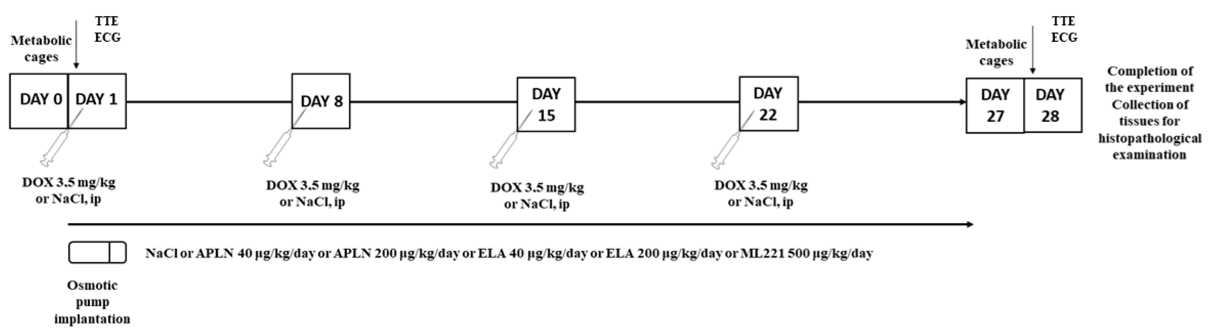 Biomedicines 13 00094 g001