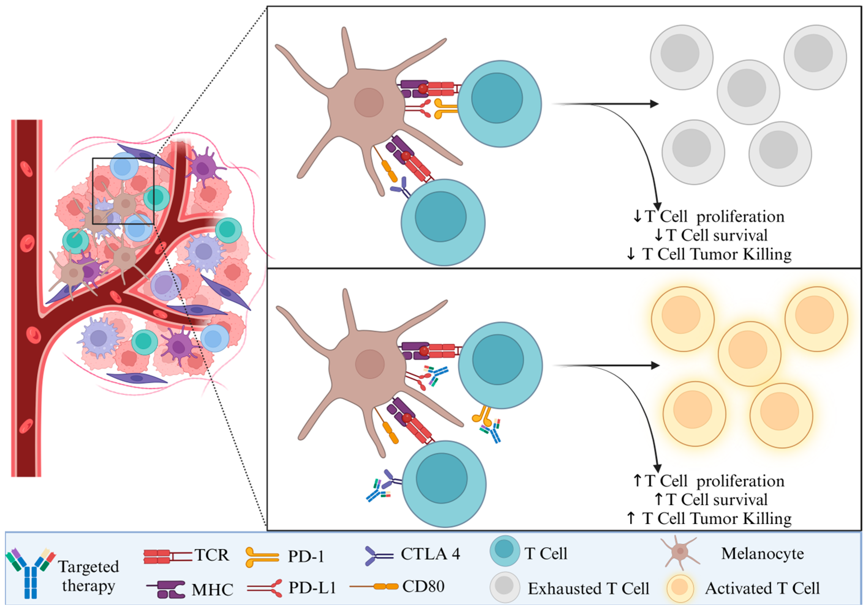 Biomedicines 13 00098 g002