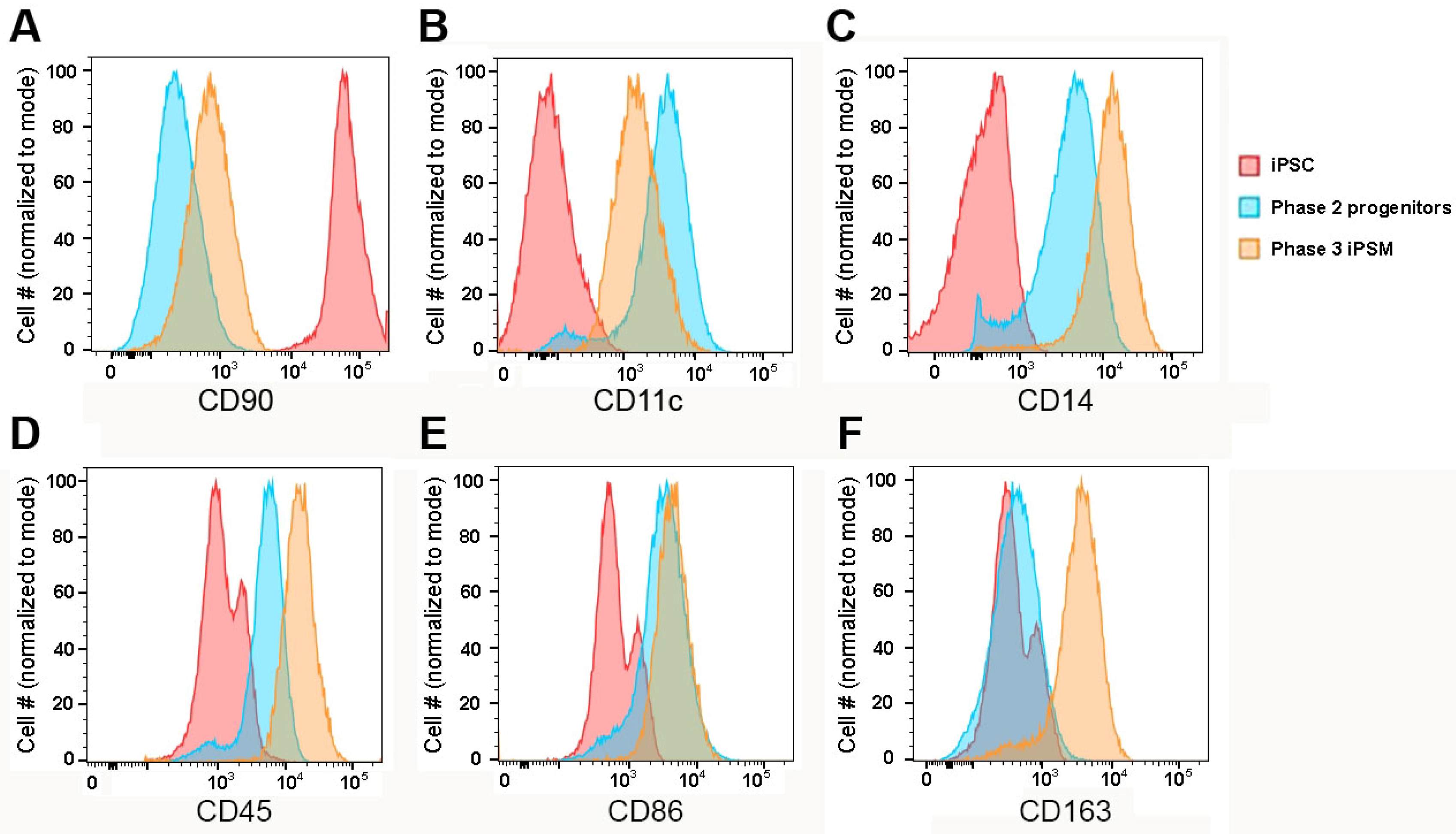 Biomedicines 13 00099 g003