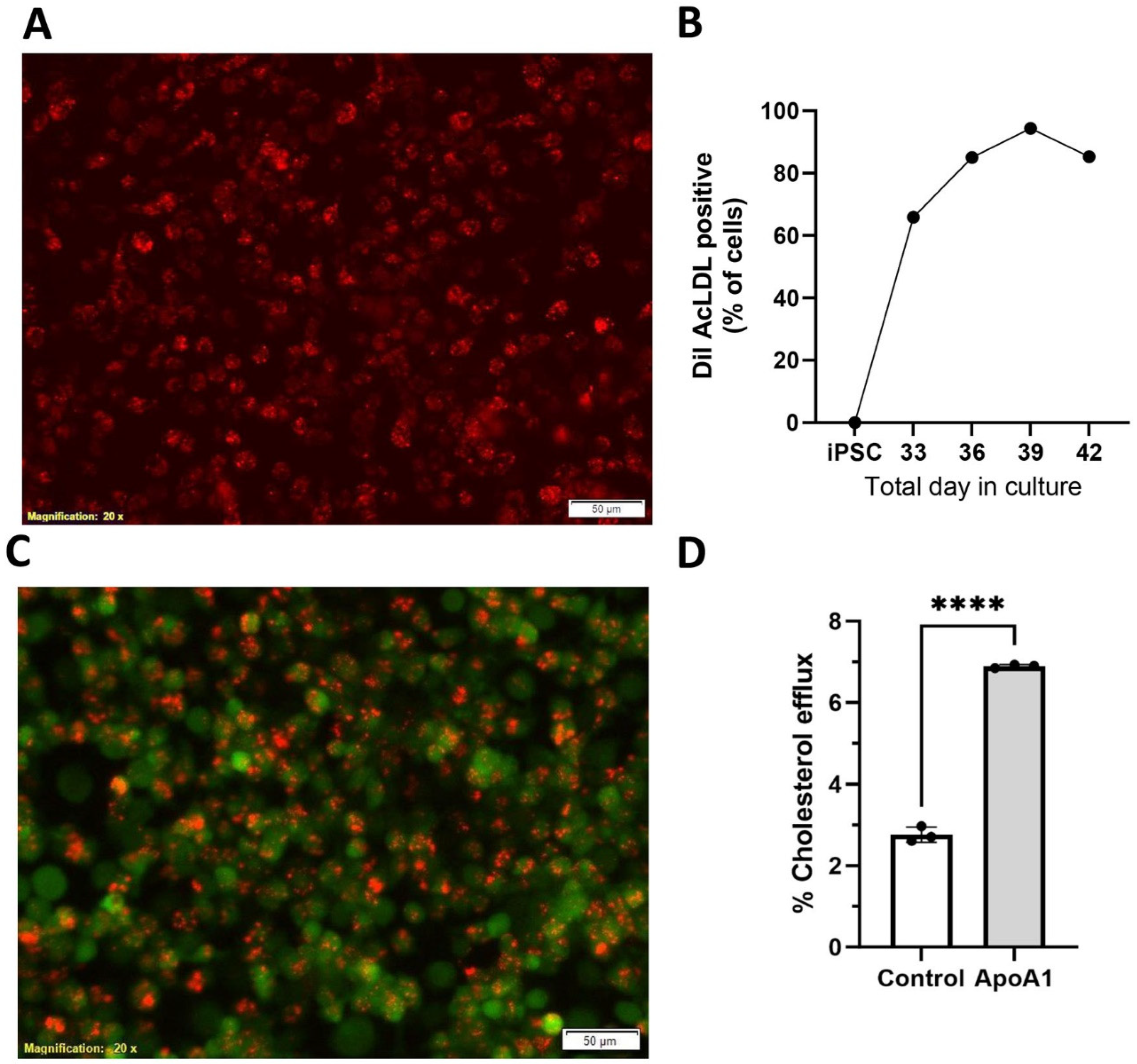 Biomedicines 13 00099 g005
