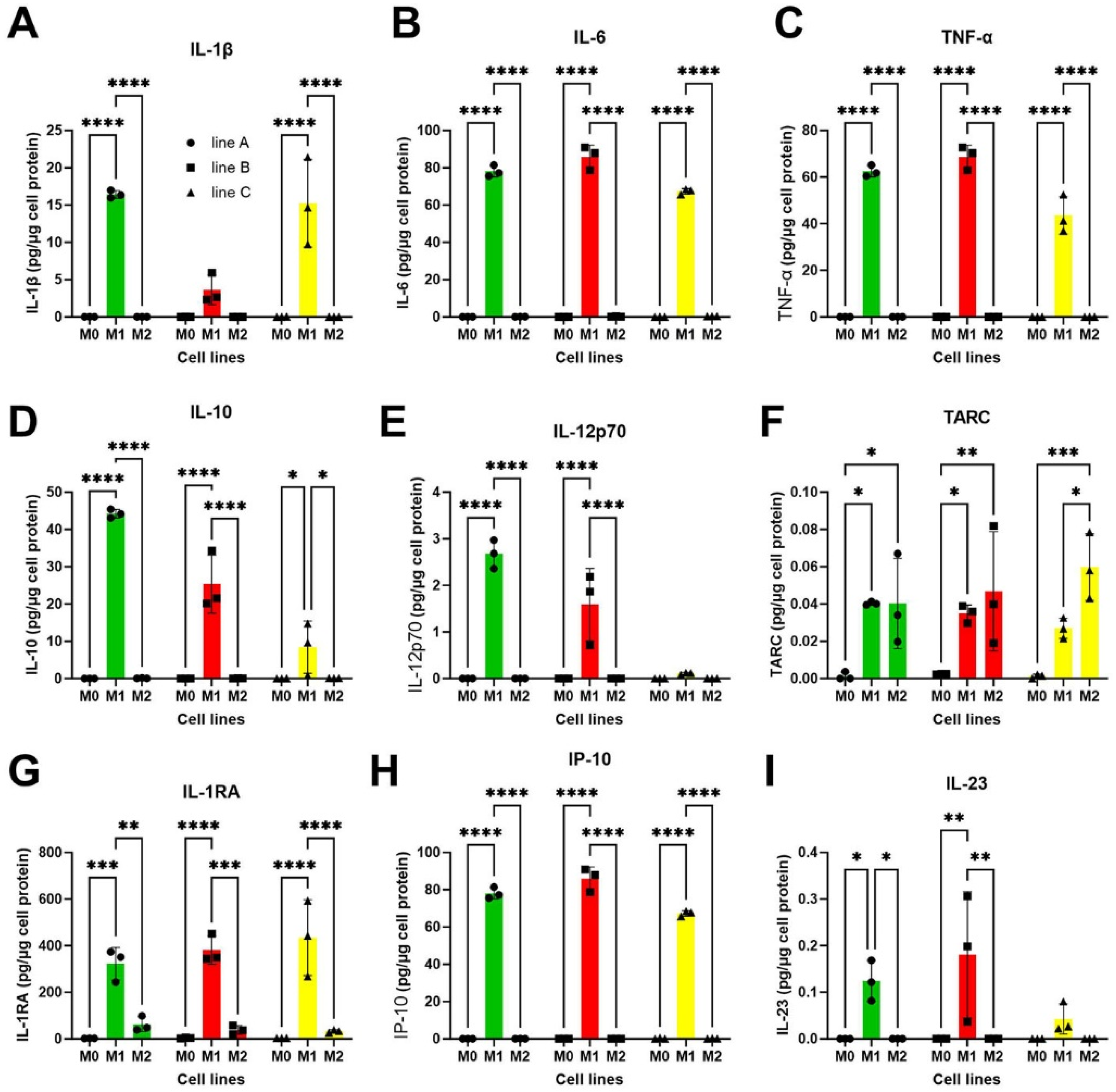 Biomedicines 13 00099 g006