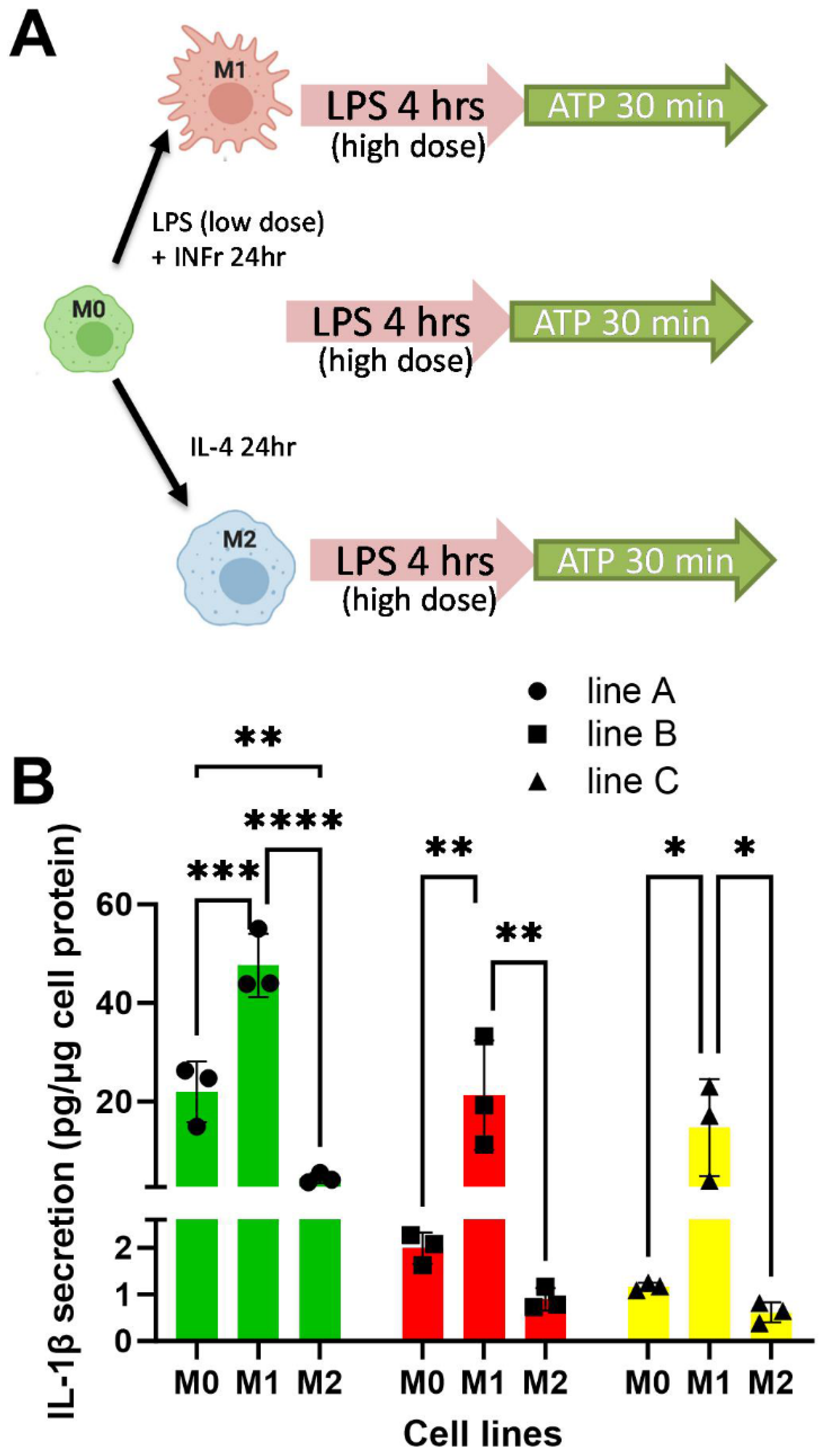 Biomedicines 13 00099 g007