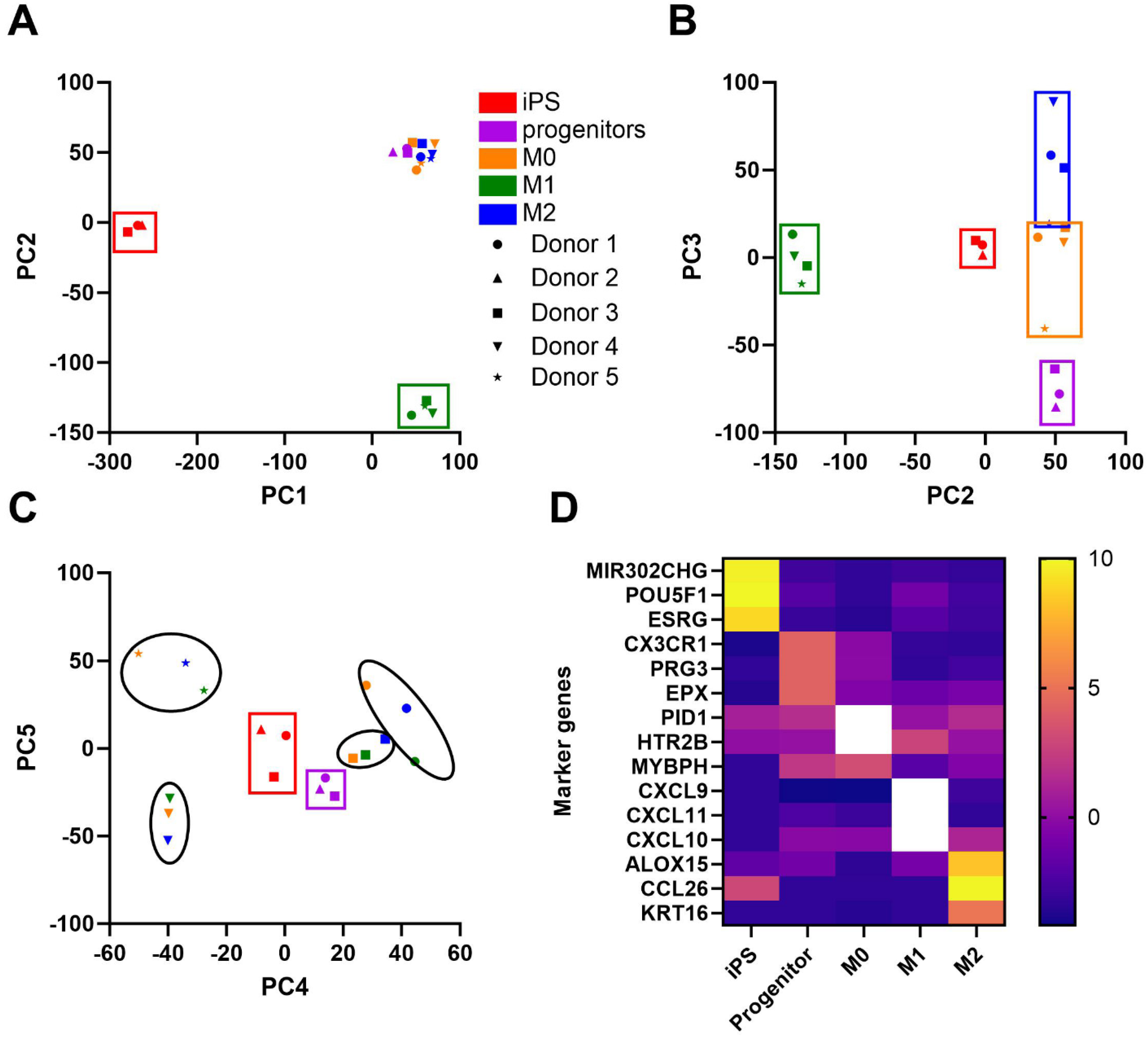 Biomedicines 13 00099 g008