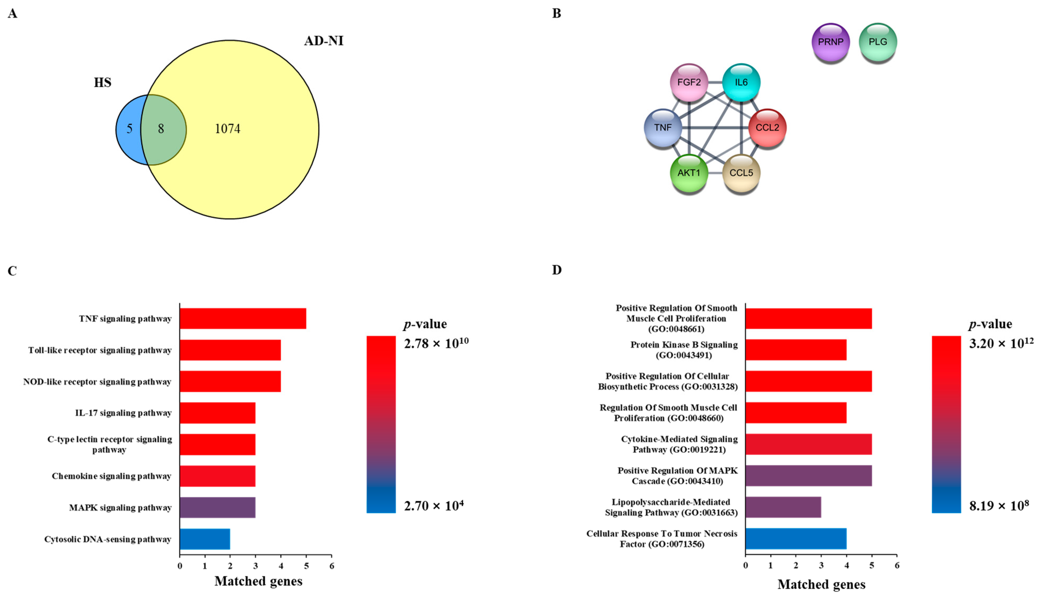 Biomedicines 13 00103 g001